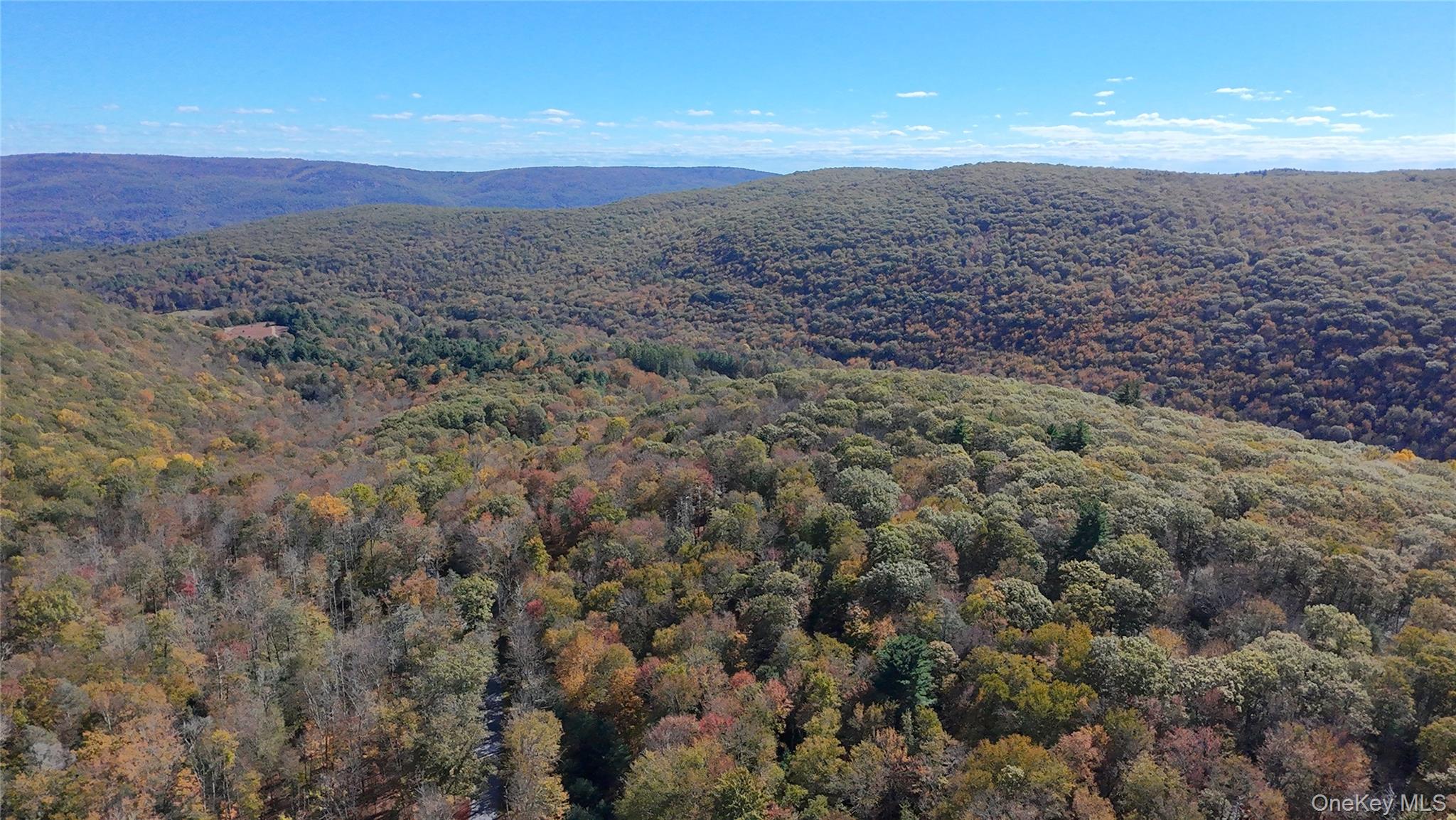 Aldrich Road, Wurtsboro, NY 12790