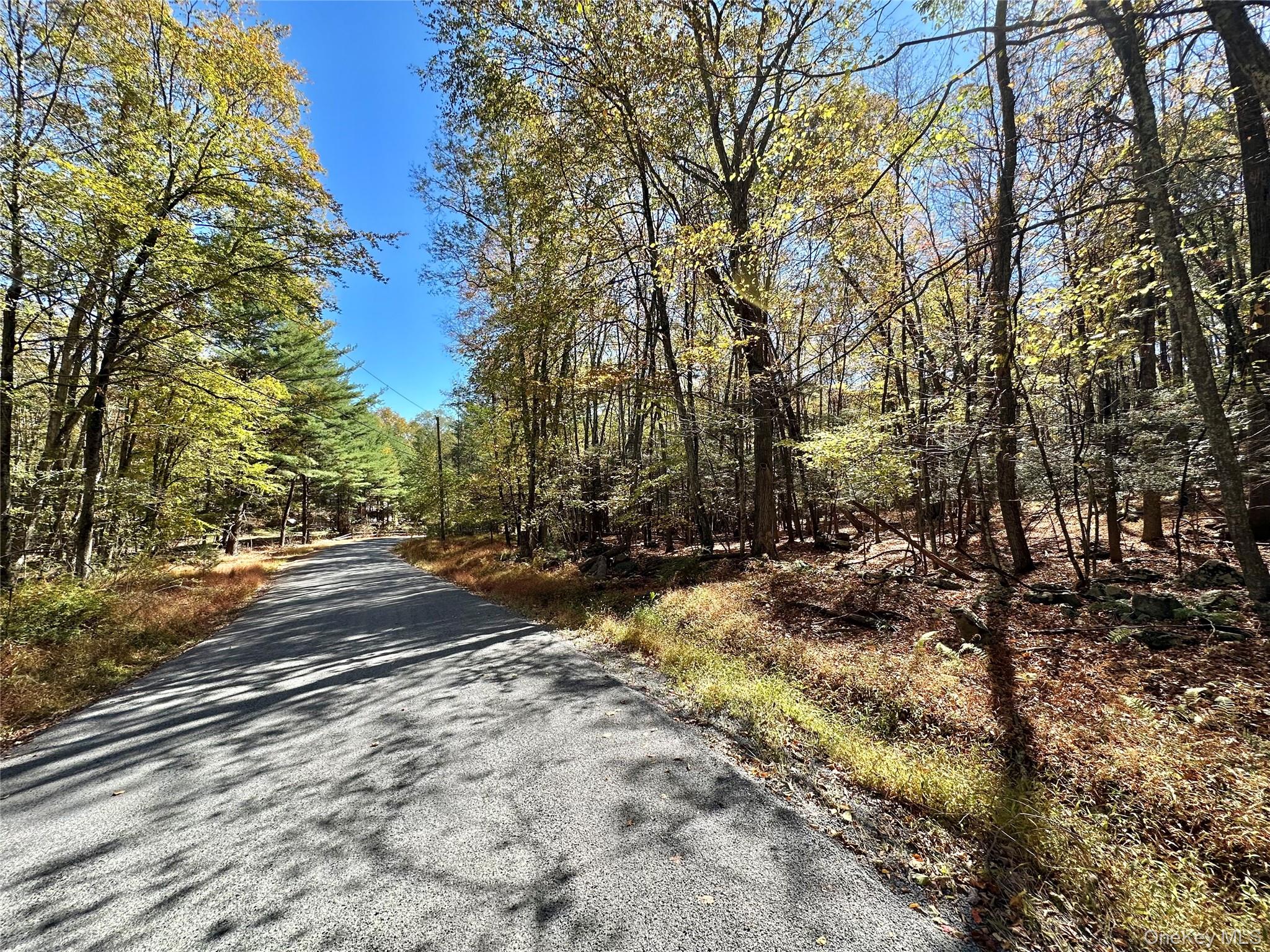 Aldrich Road, Wurtsboro, NY 12790