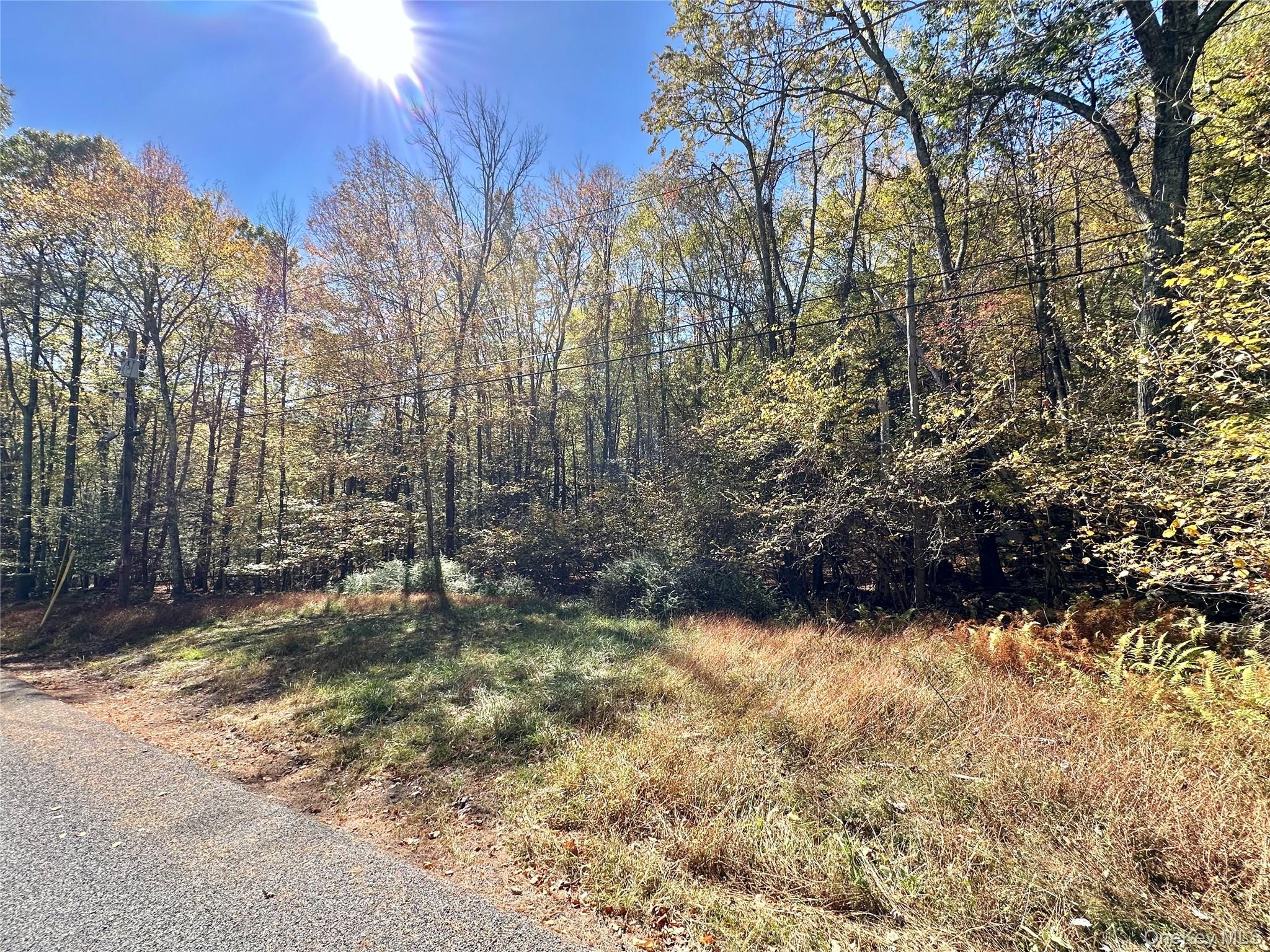 Aldrich Road, Wurtsboro, NY 12790