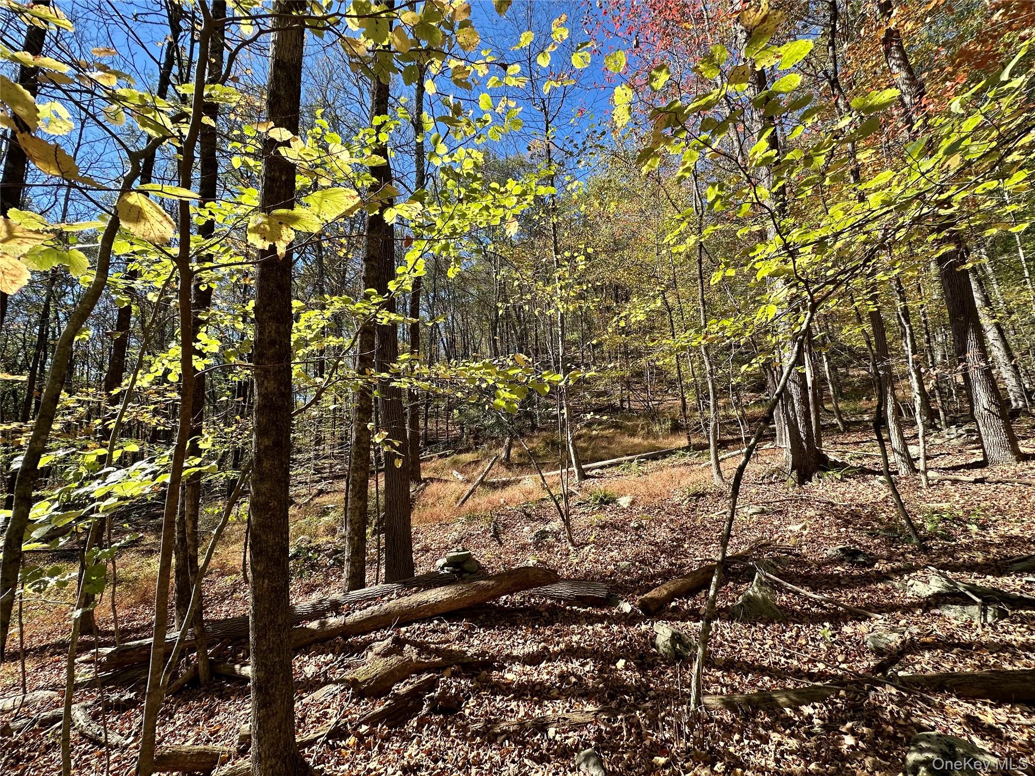 Aldrich Road, Wurtsboro, NY 12790