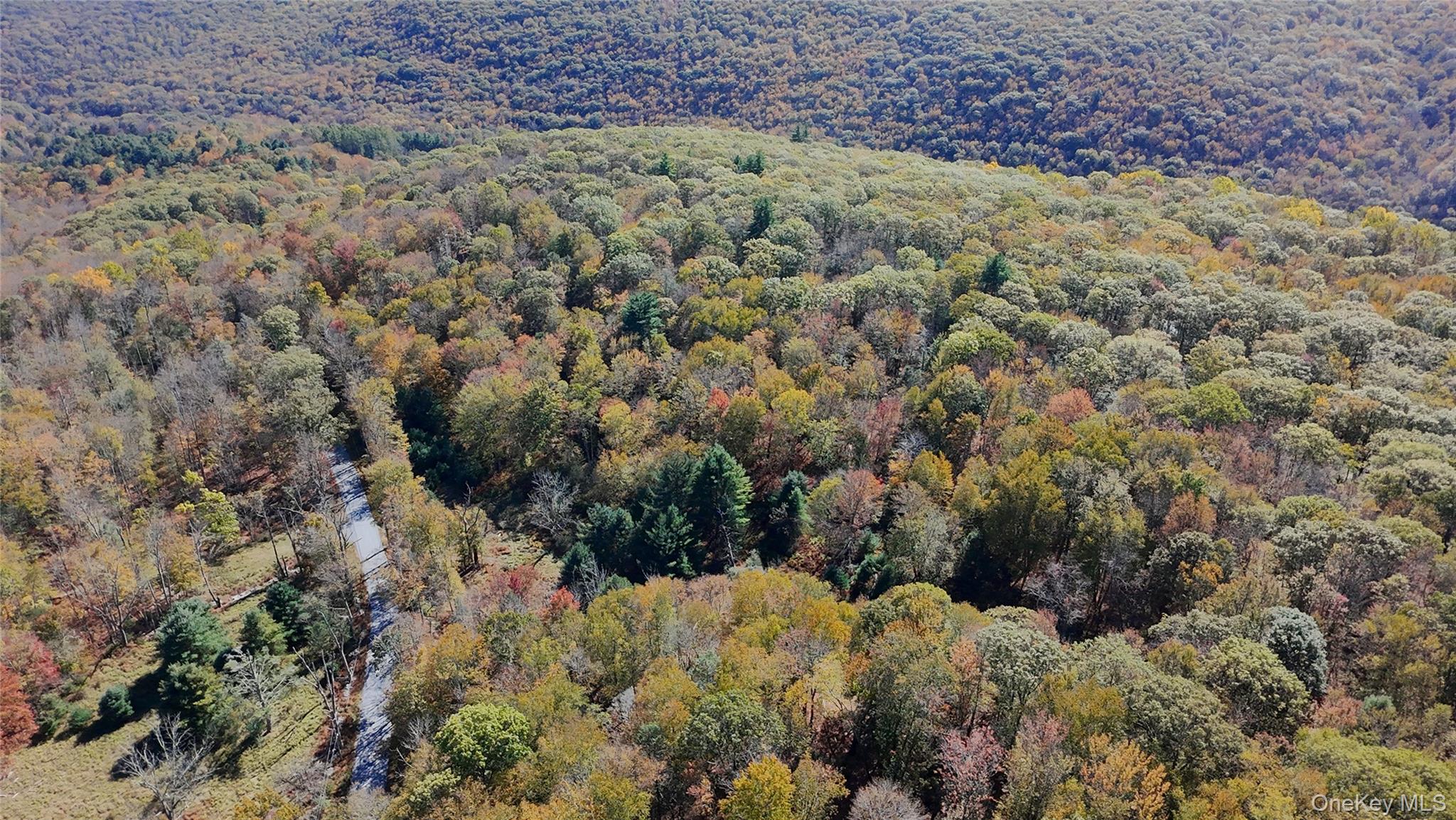 Aldrich Road, Wurtsboro, NY 12790