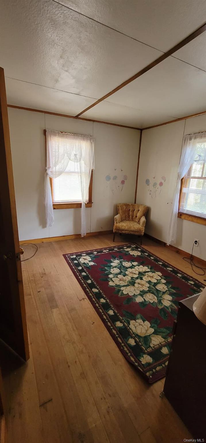 13 Eldridge Street S, Bethel, NY 12720