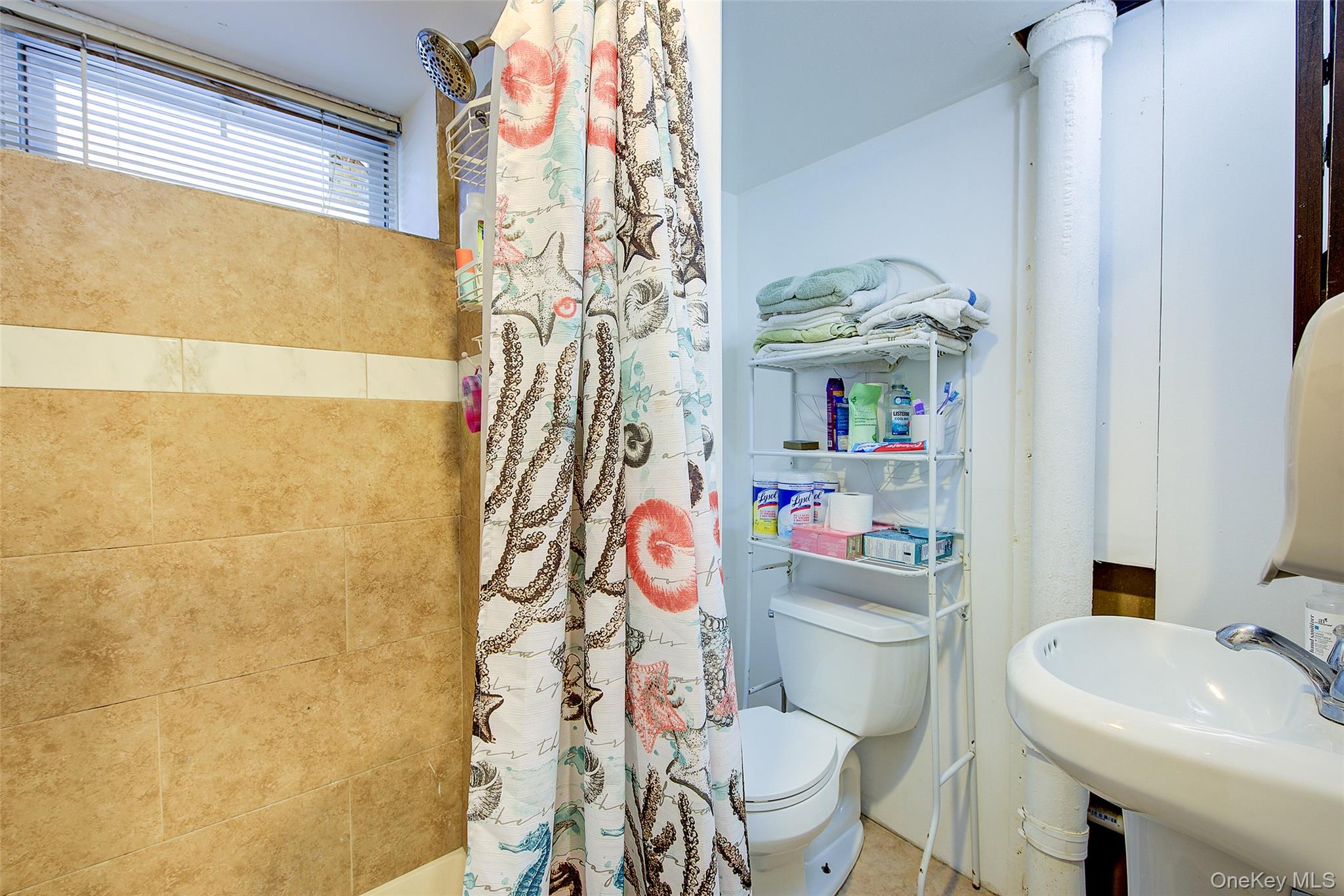 9507 239 Street, Floral Park, NY 11001