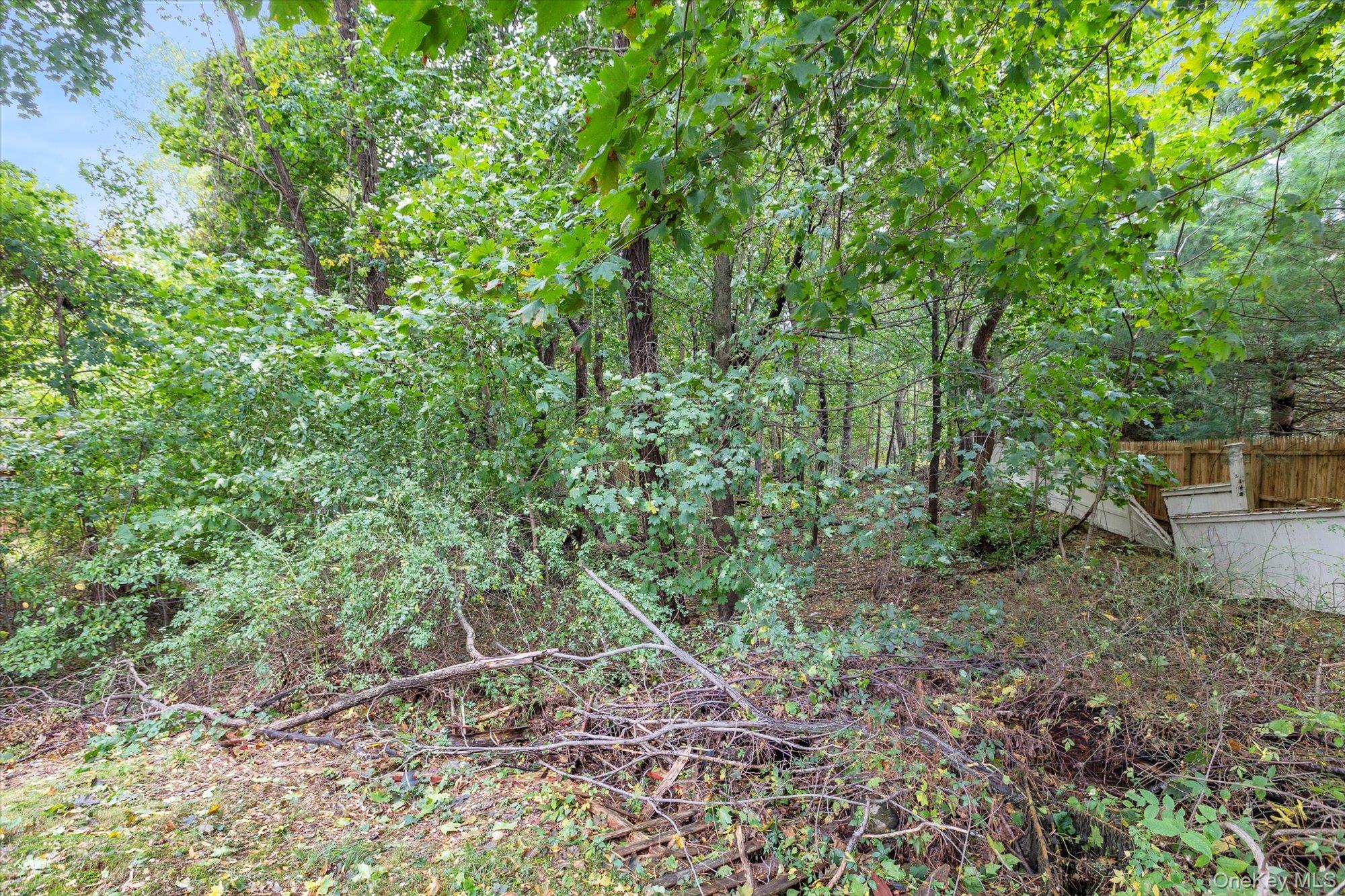 813 Park Avenue, Huntington, NY 11743