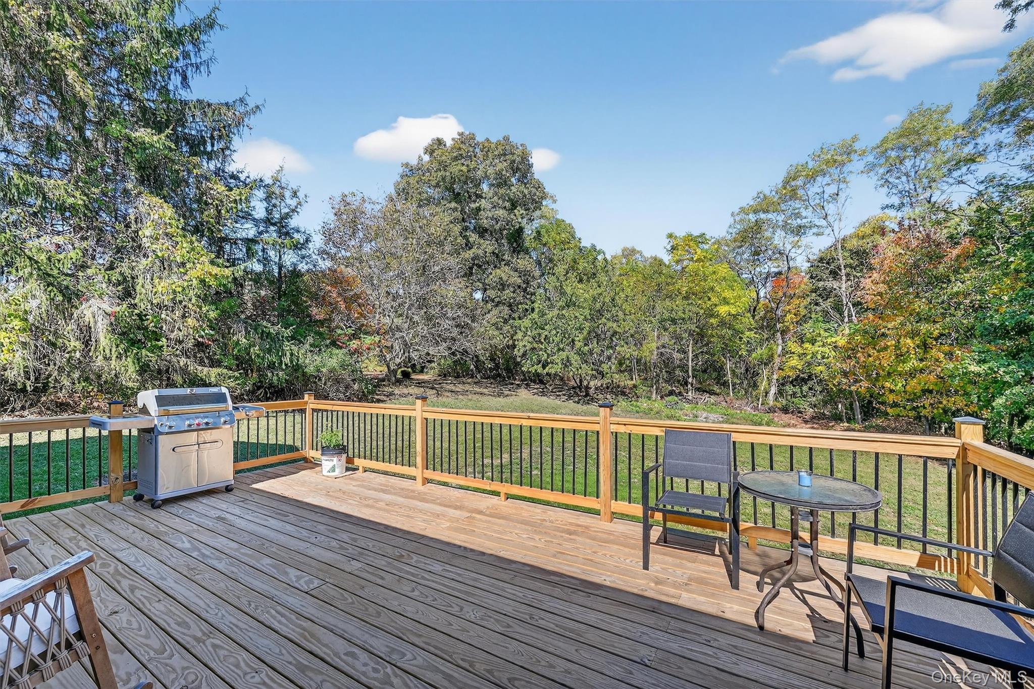 10 Elizabeth Drive, Wallkill, NY 12589