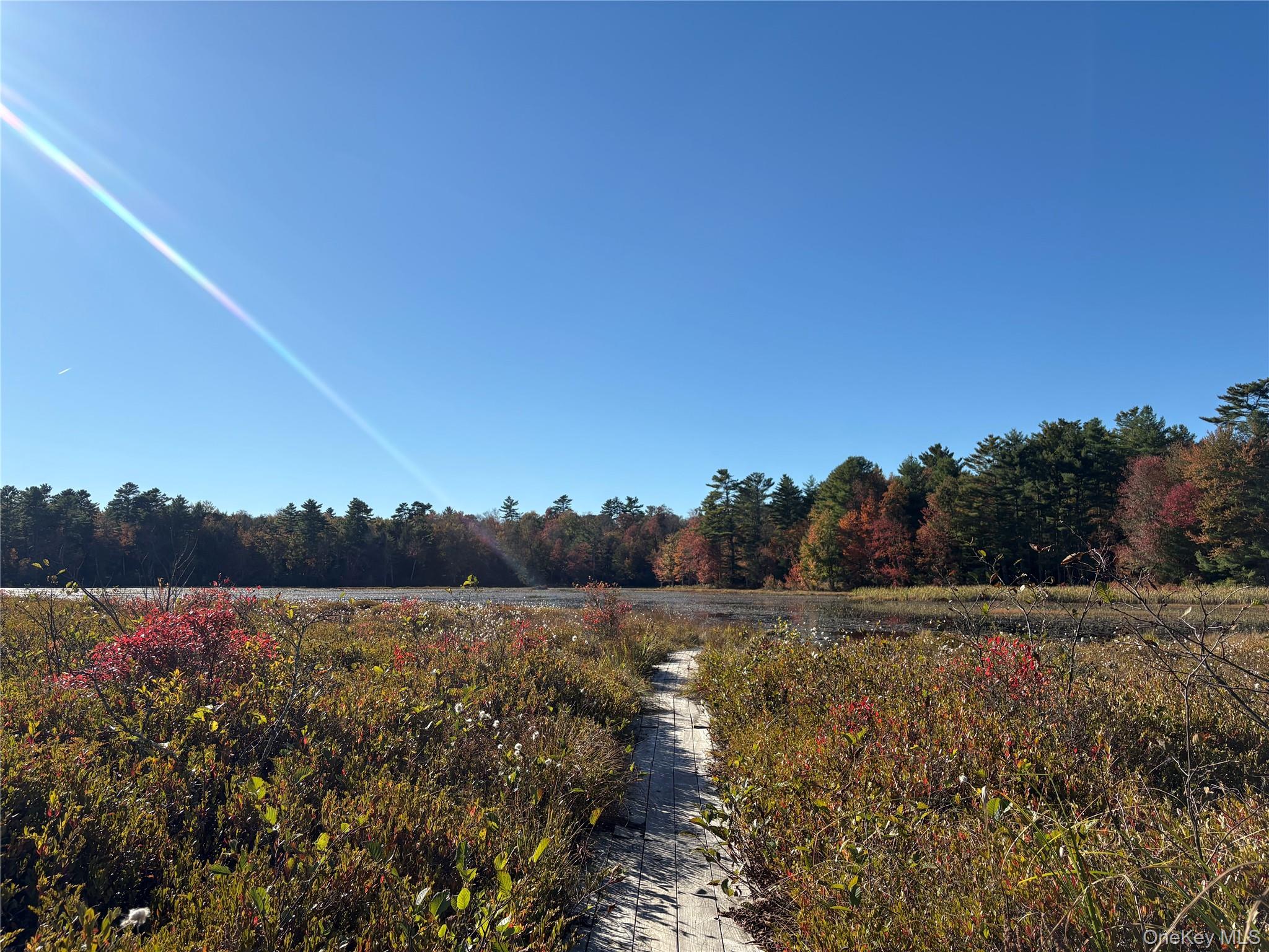 Lot 4 Deer Meadow Road, White Lake, NY 12786