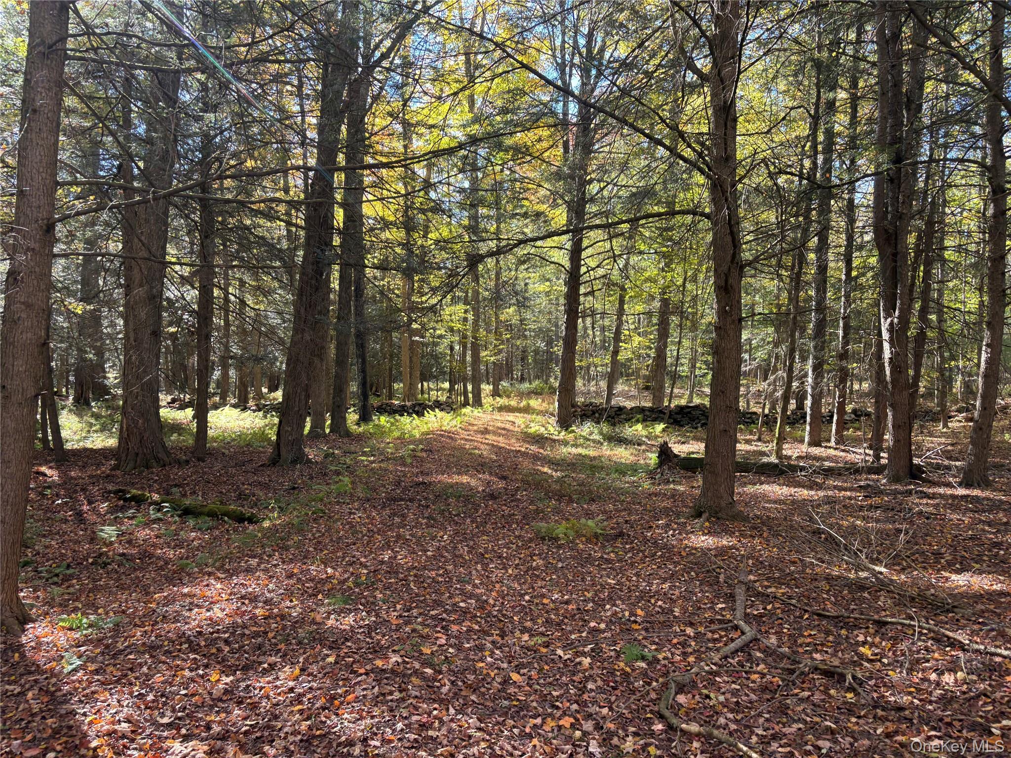 Lot 4 Deer Meadow Road, White Lake, NY 12786