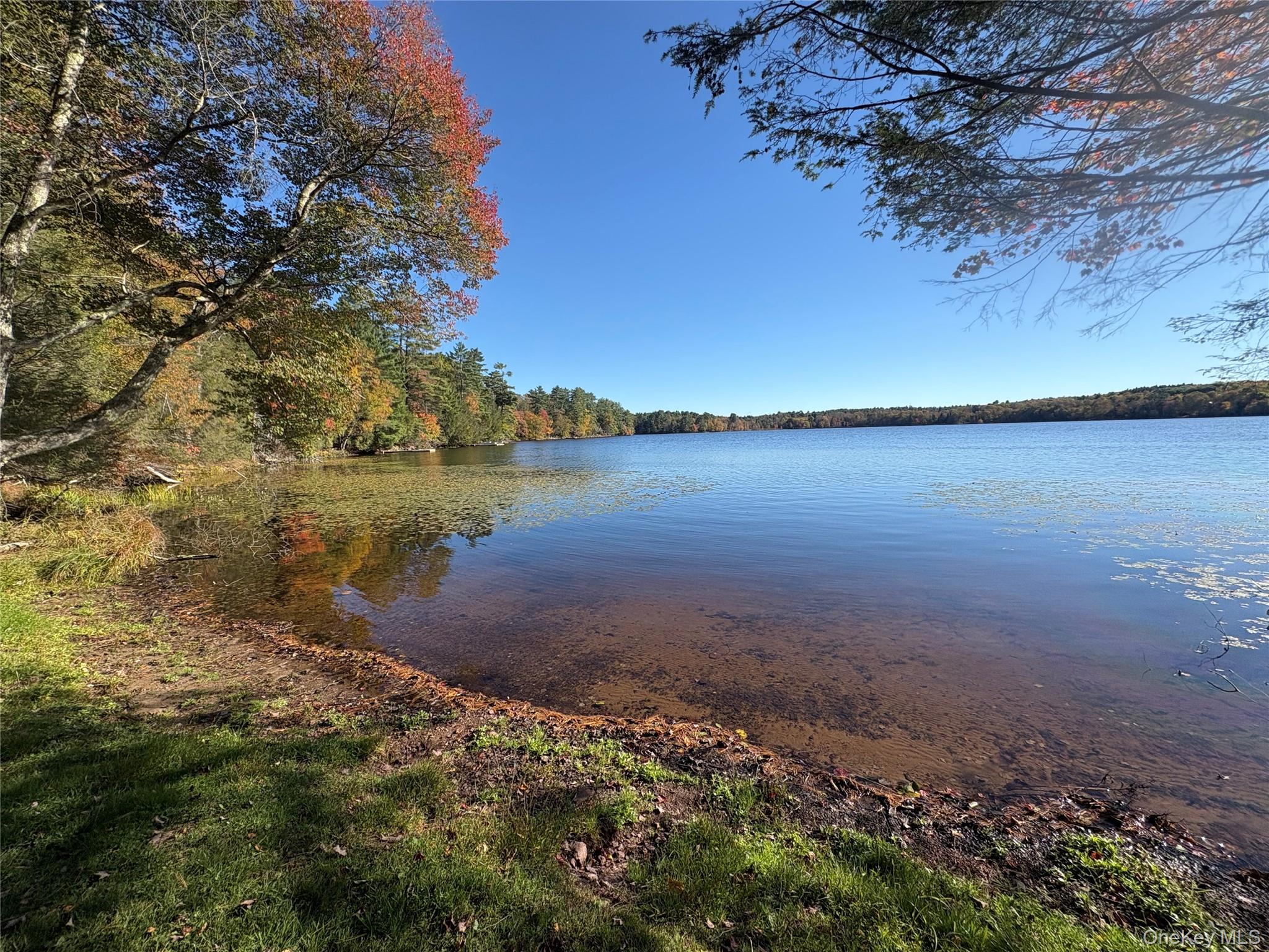 Lot 4 Deer Meadow Road, White Lake, NY 12786