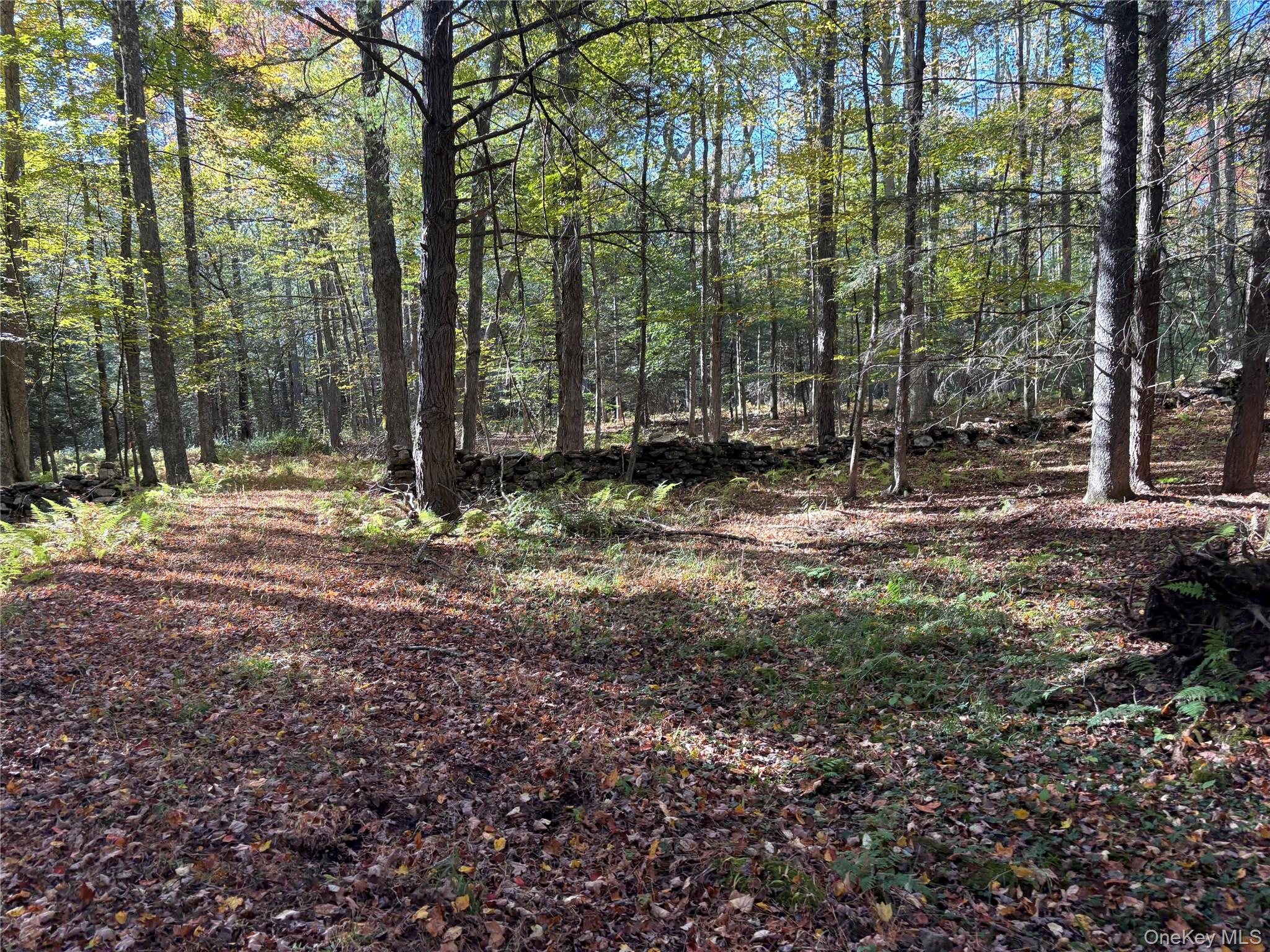 Lot 4 Deer Meadow Road, White Lake, NY 12786