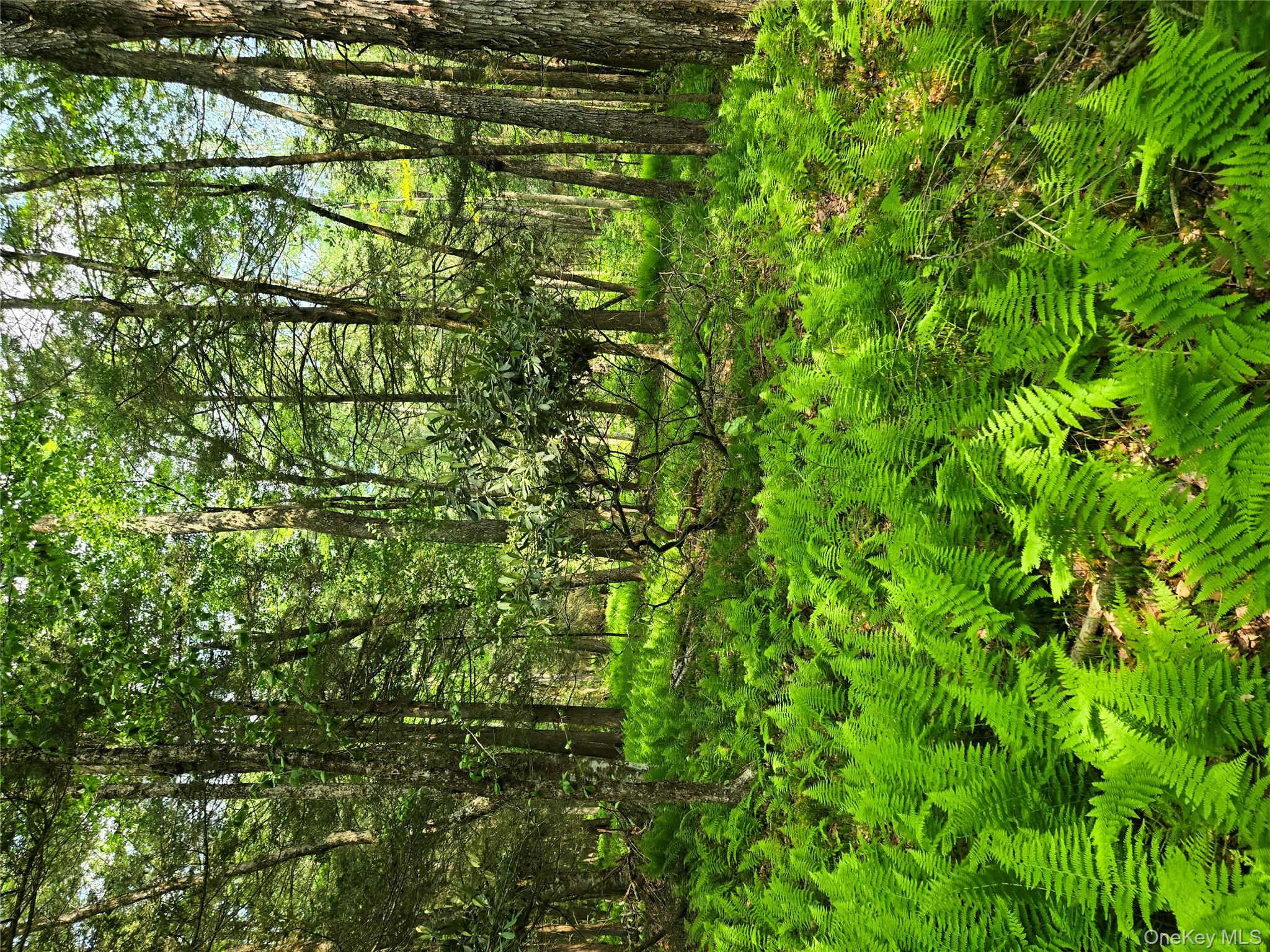 Lot 4 Deer Meadow Road, White Lake, NY 12786