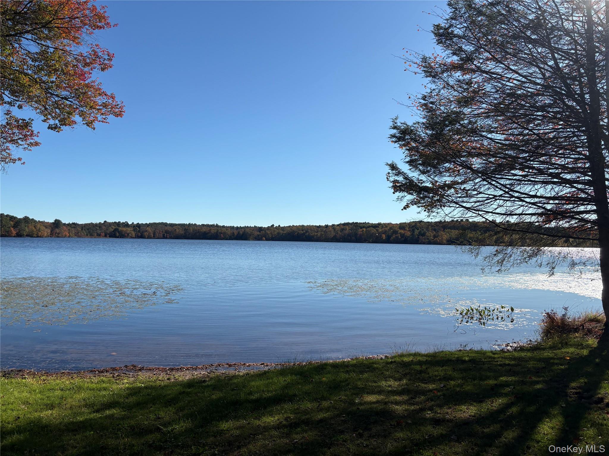 Lot 4 Deer Meadow Road, White Lake, NY 12786