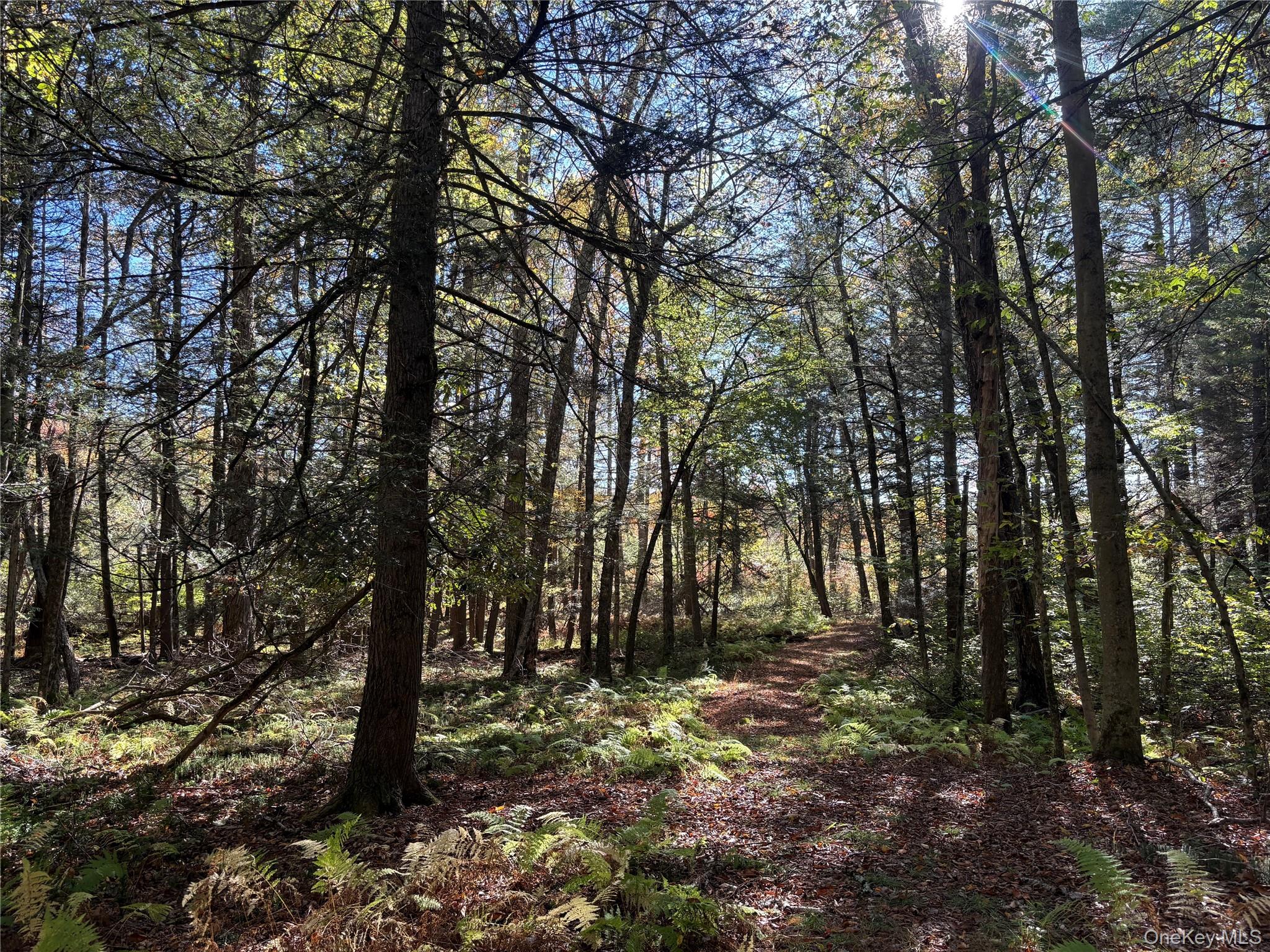 Lot 4 Deer Meadow Road, White Lake, NY 12786