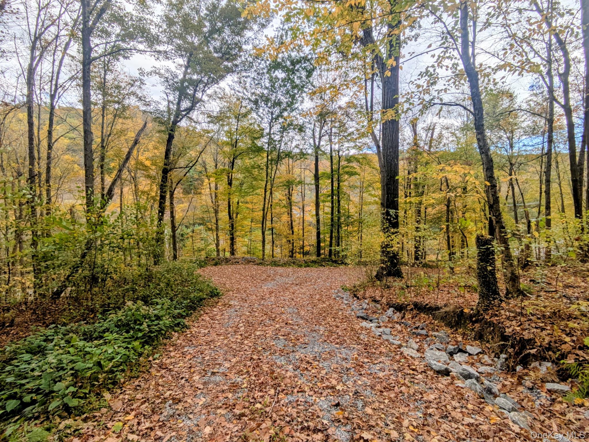 Rt-199, Stanfordville, NY 12581