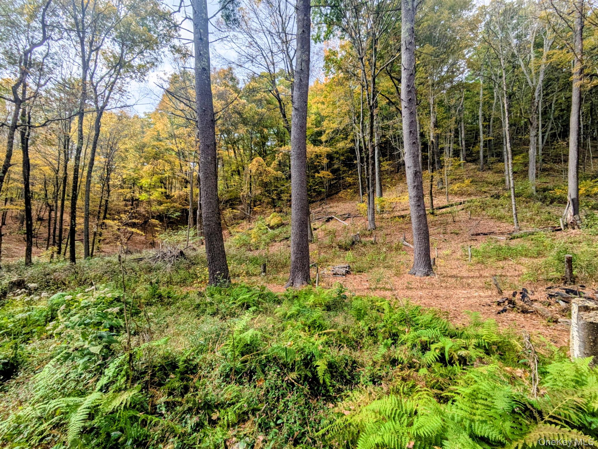 Rt-199, Stanfordville, NY 12581