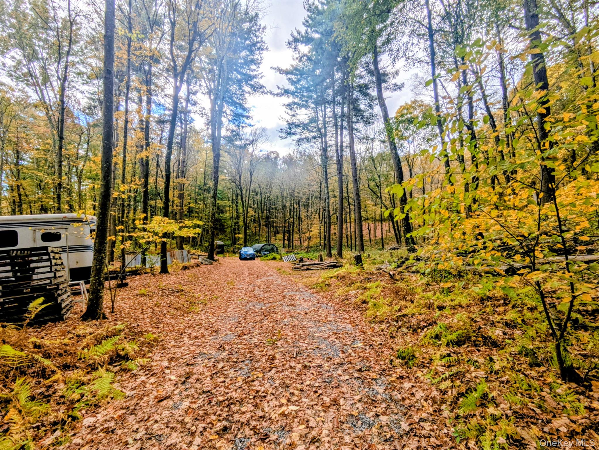 Rt-199, Stanfordville, NY 12581