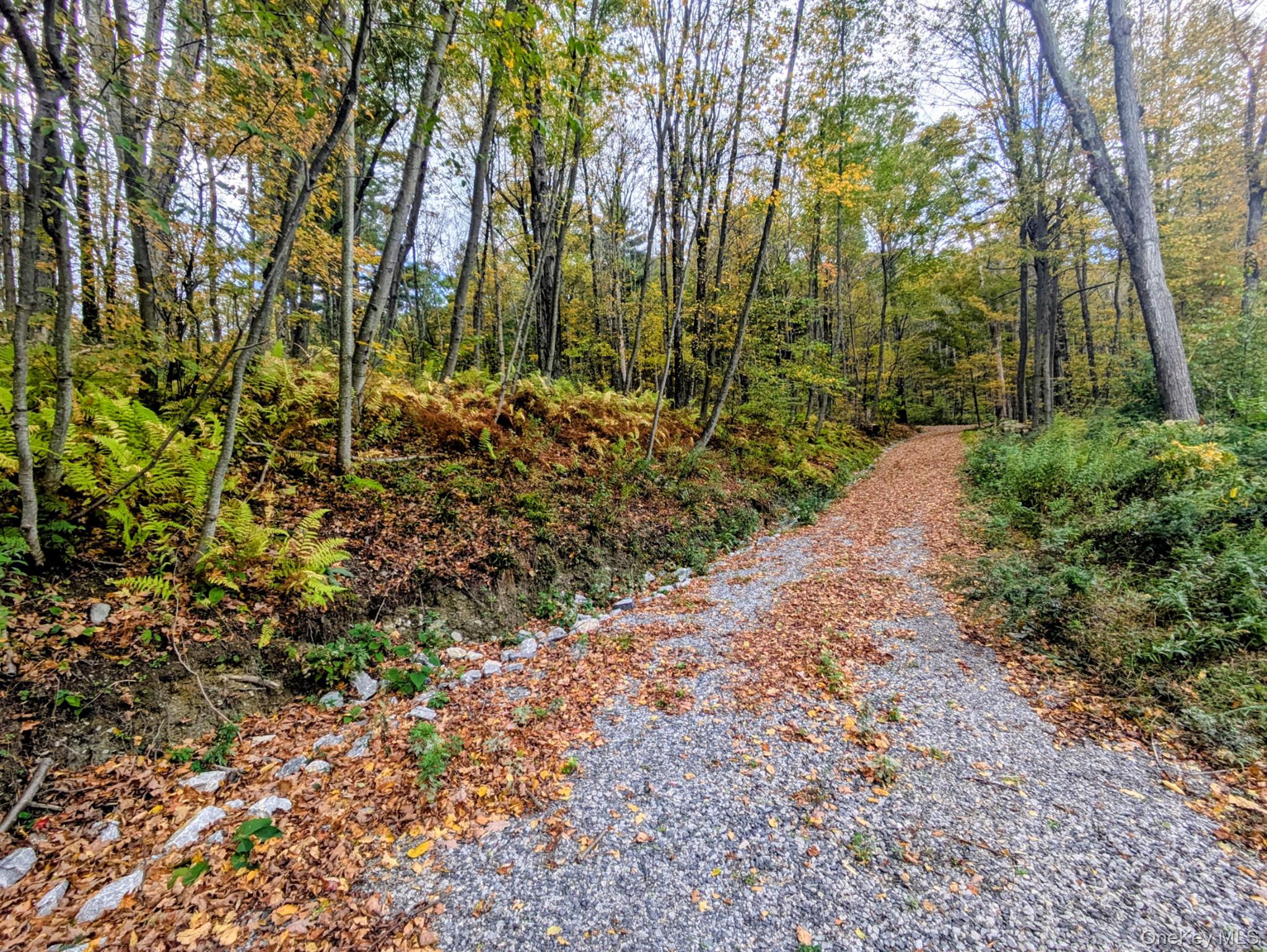 Rt-199, Stanfordville, NY 12581