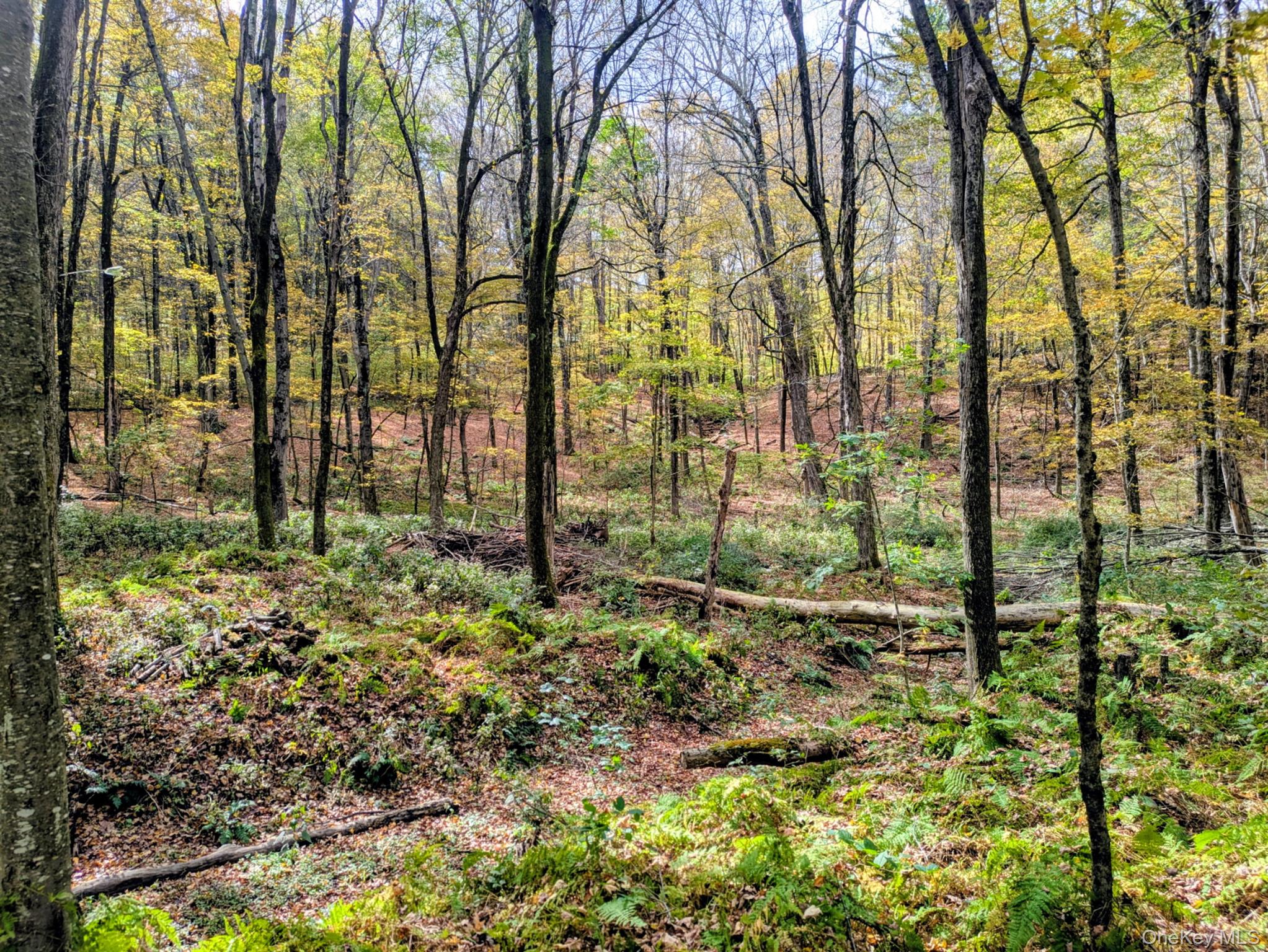 Rt-199, Stanfordville, NY 12581