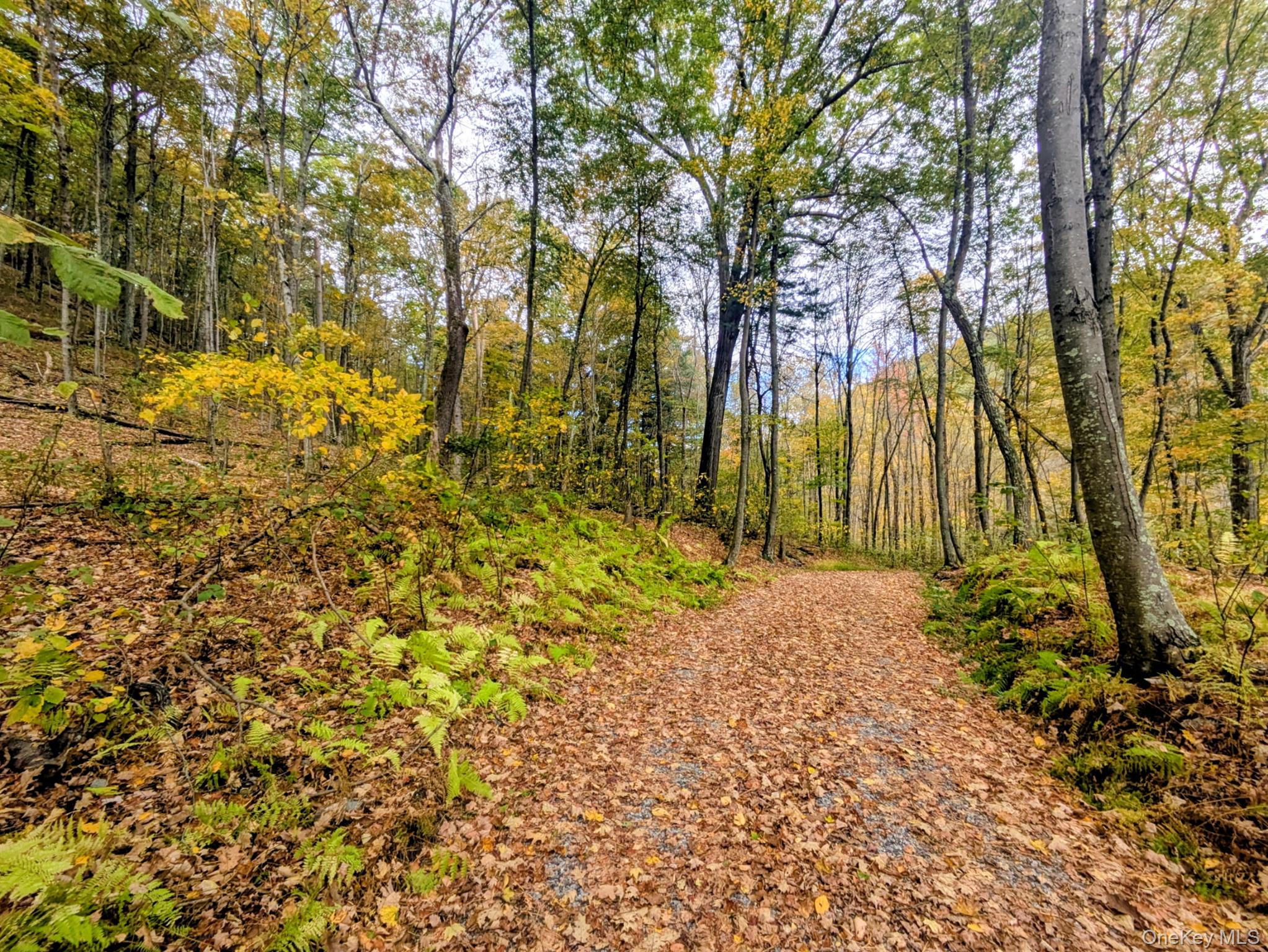 Rt-199, Stanfordville, NY 12581