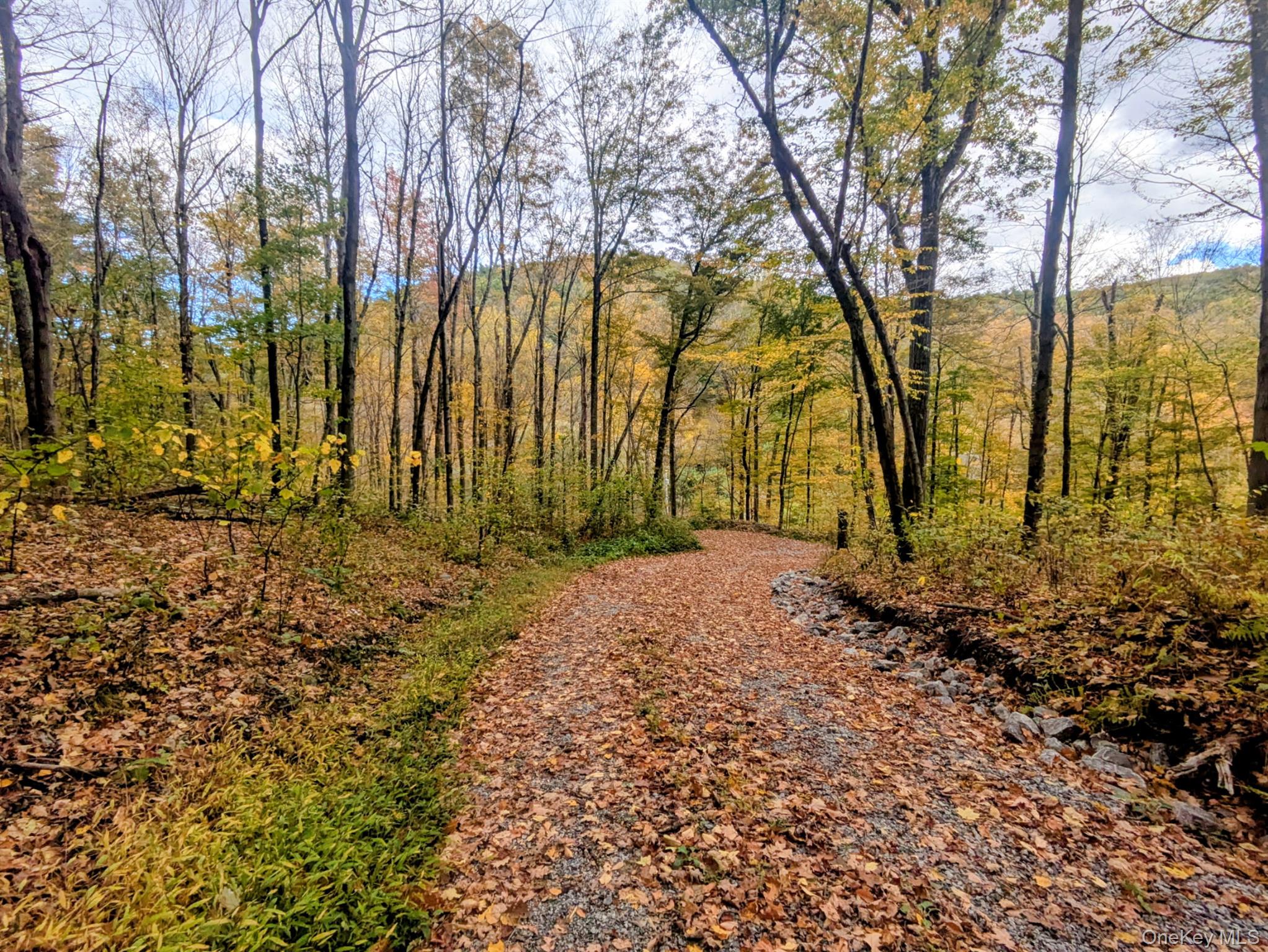 Rt-199, Stanfordville, NY 12581