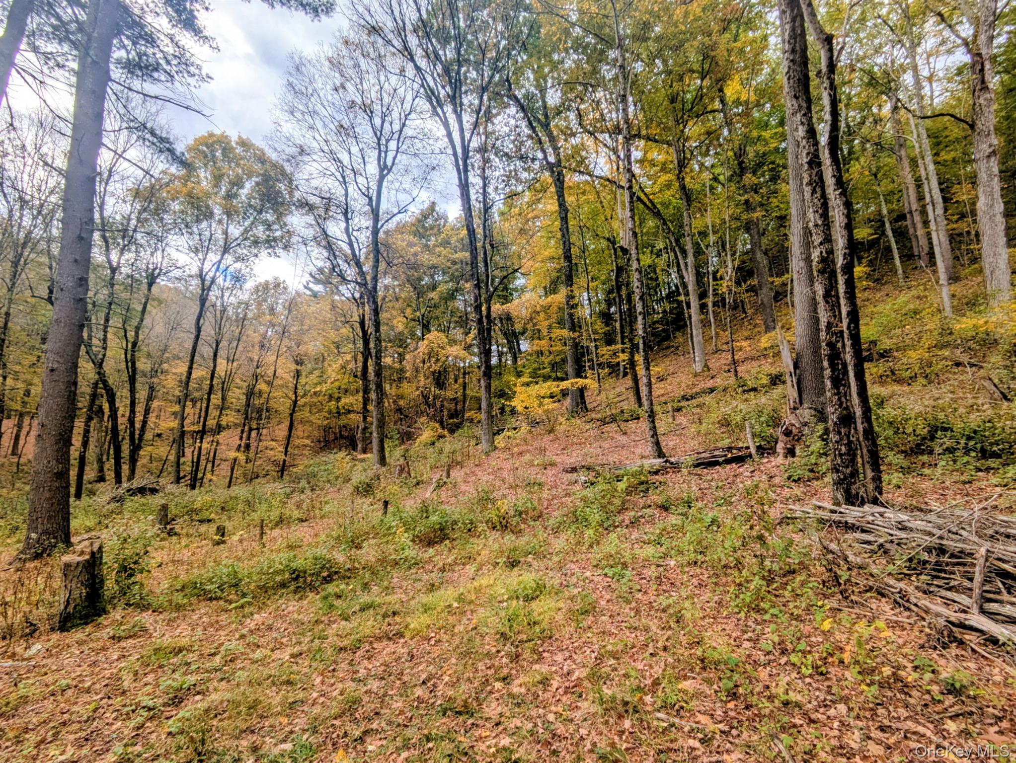 Rt-199, Stanfordville, NY 12581