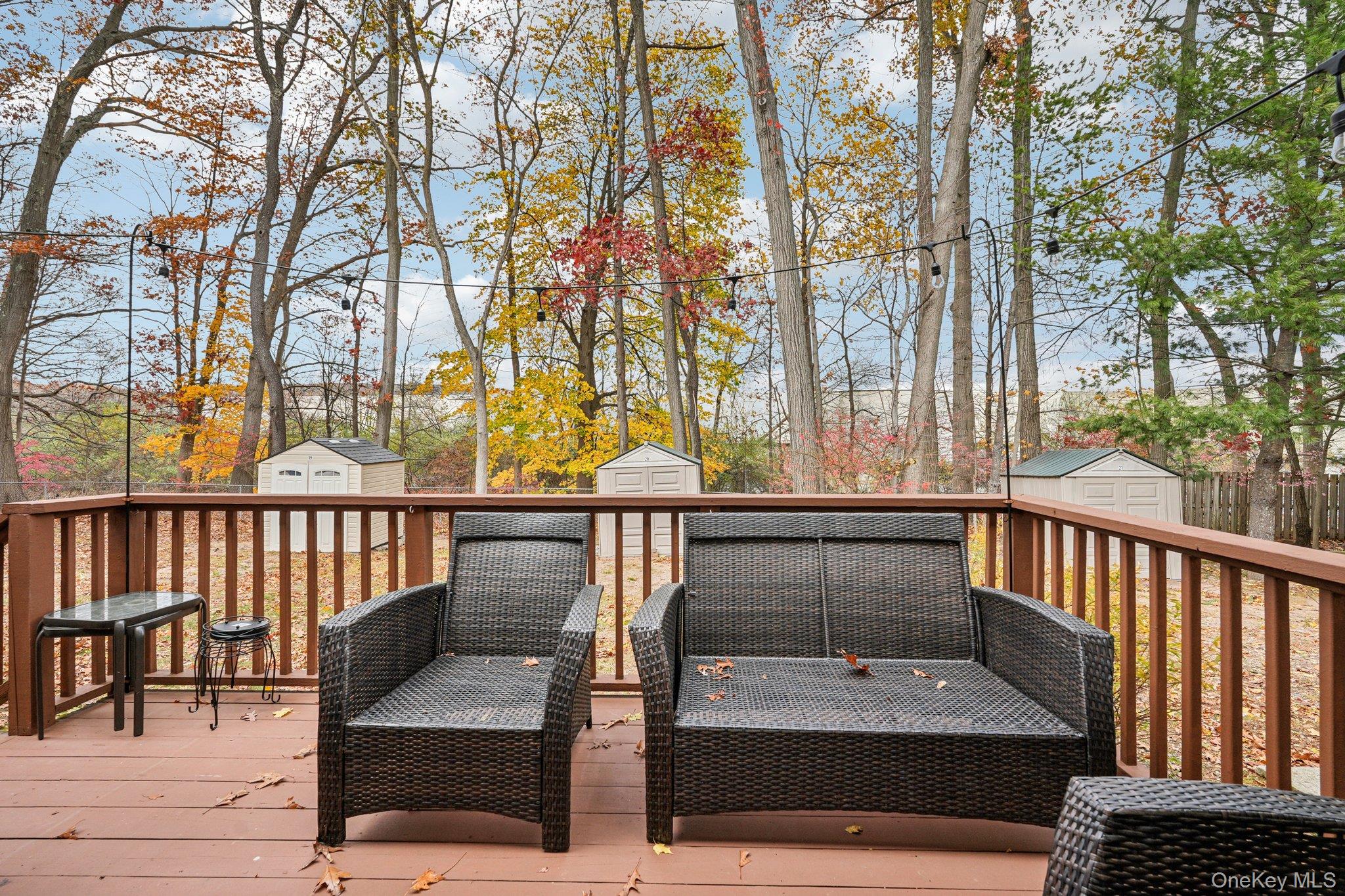 20 Lackawanna Trail, Montebello, NY 10901