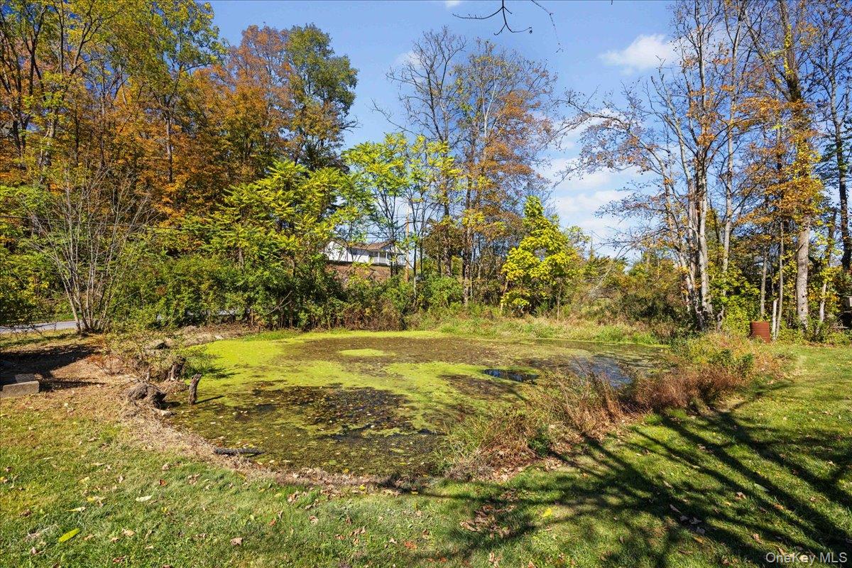 1-3 Amdurer Road, Westtown, NY 10998