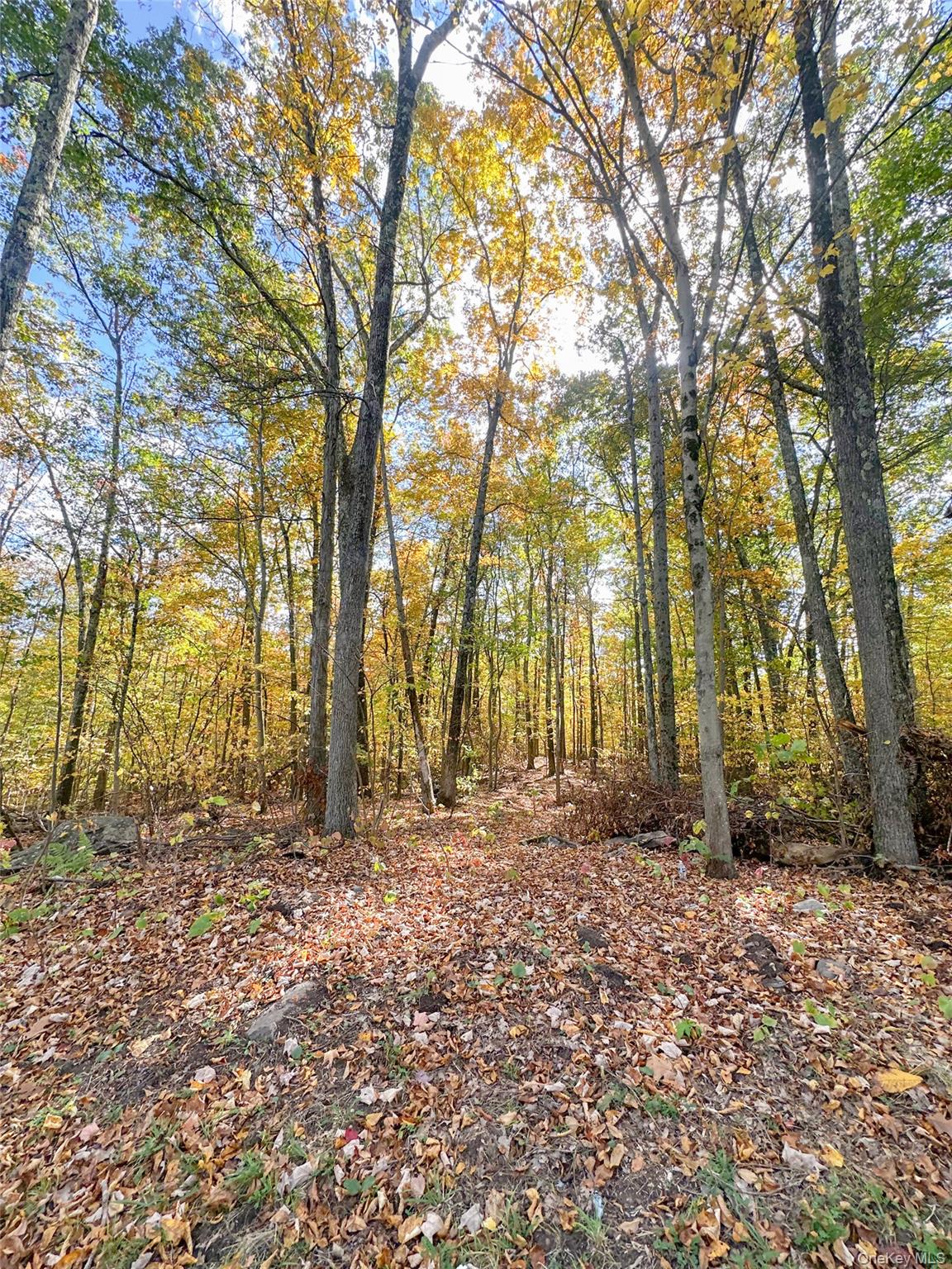 748 State Route 44 55, Highland, NY 12528