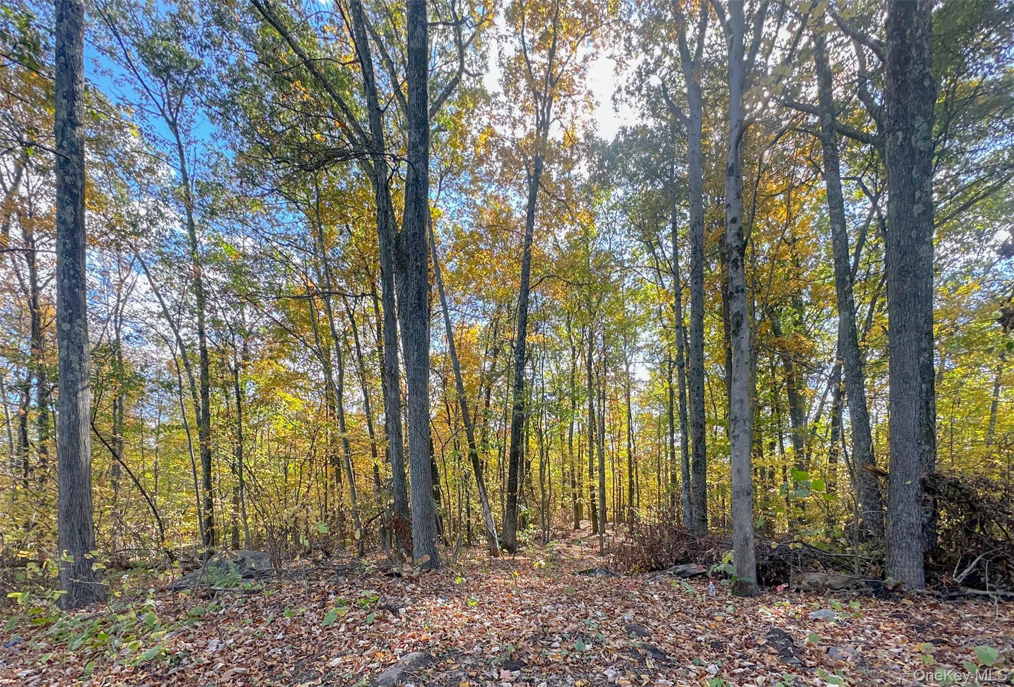 748 State Route 44 55, Highland, NY 12528