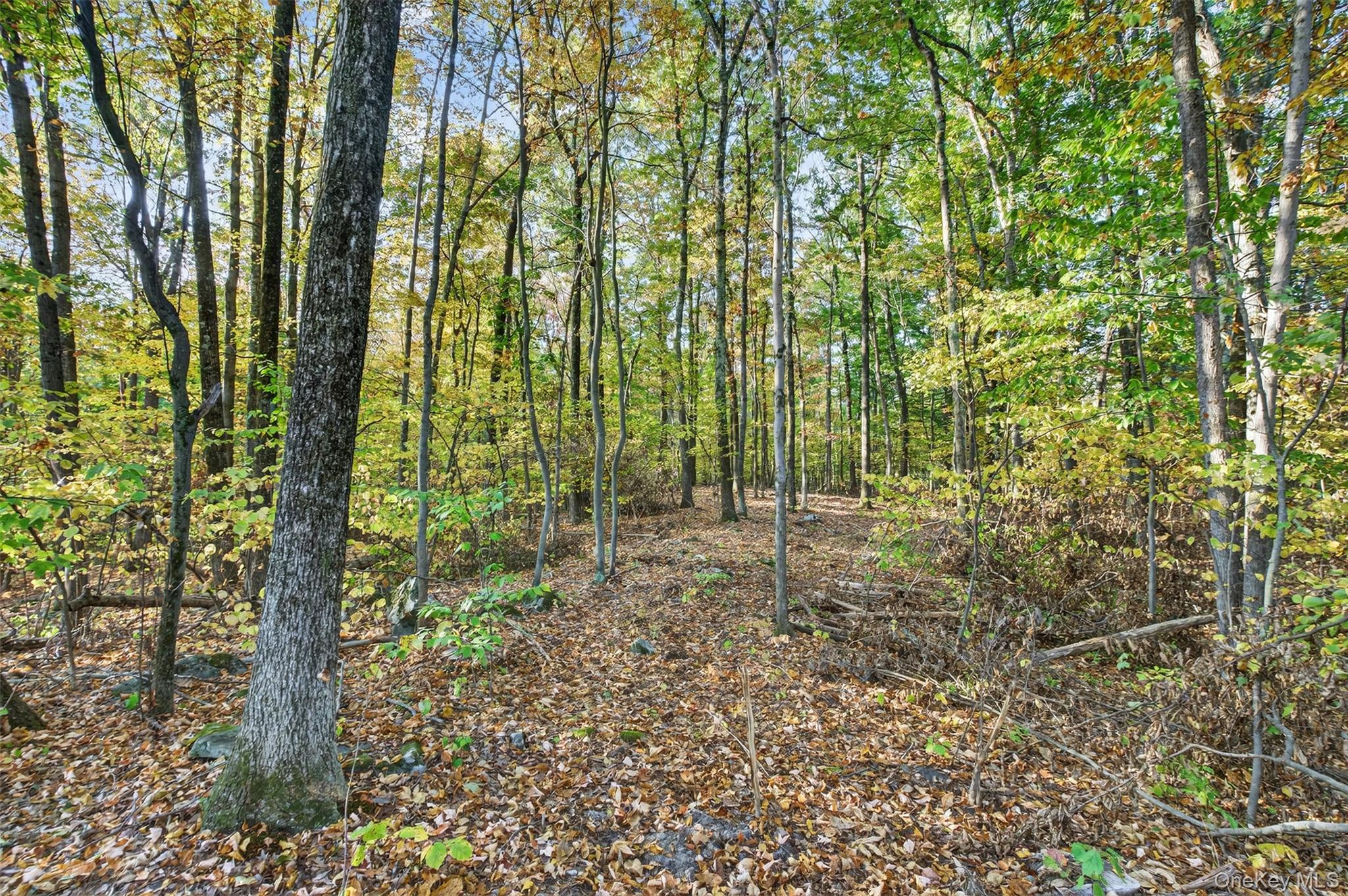 748 State Route 44 55, Highland, NY 12528