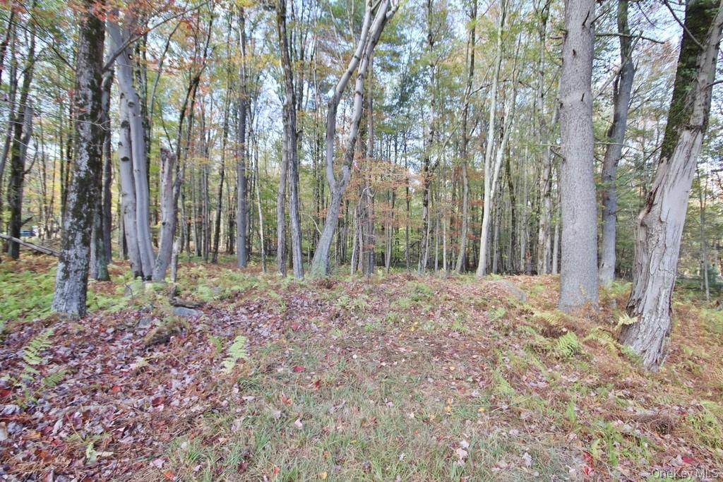 93 Downs Road, Monticello, NY 12701