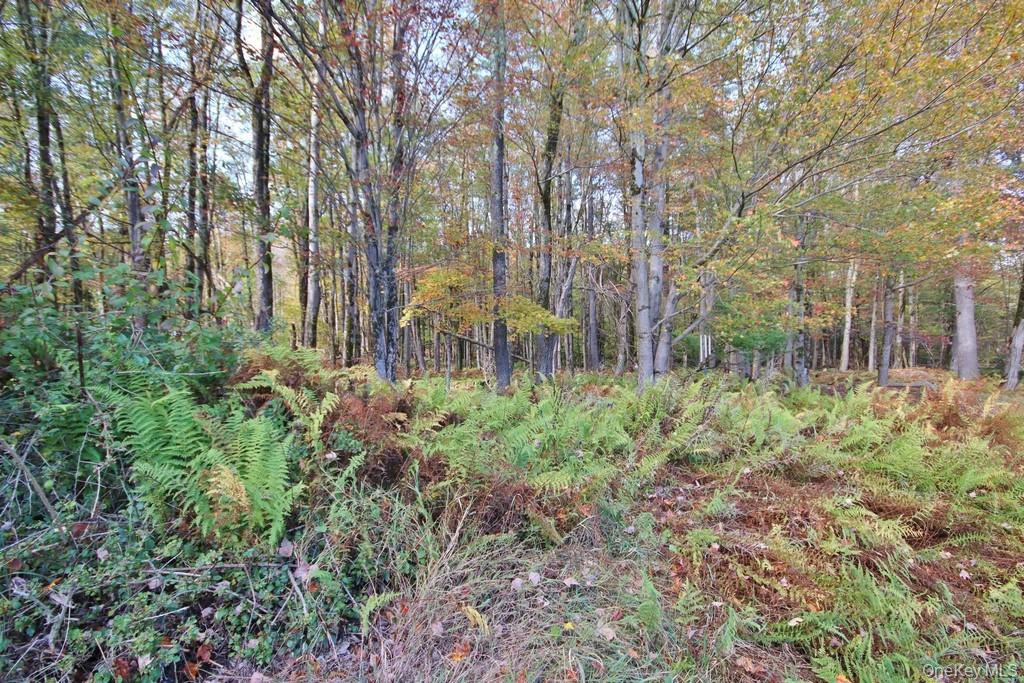 93 Downs Road, Monticello, NY 12701