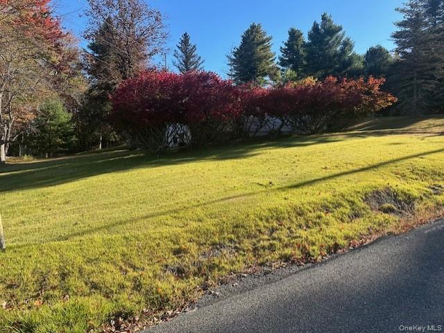 25 Miles and Marguerite, Mountain Dale, NY 12733