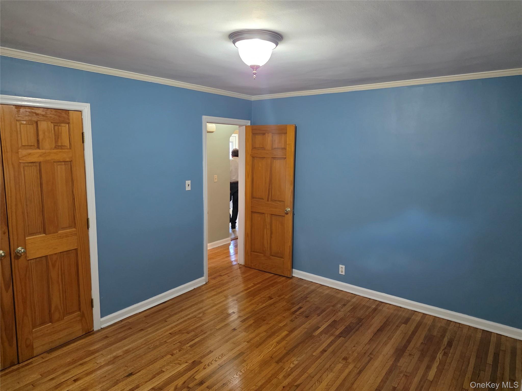 220 Raff Avenue, Mineola, NY 11501