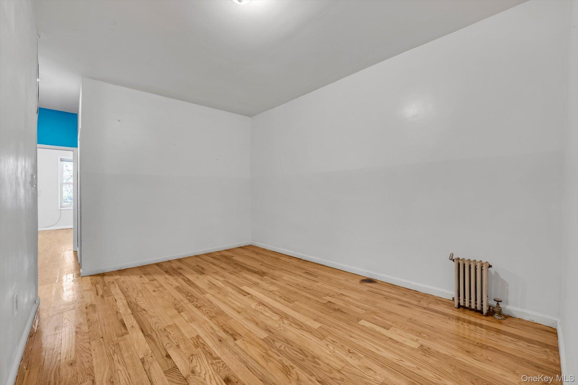 197 Nichols Avenue, Brooklyn, NY 11208