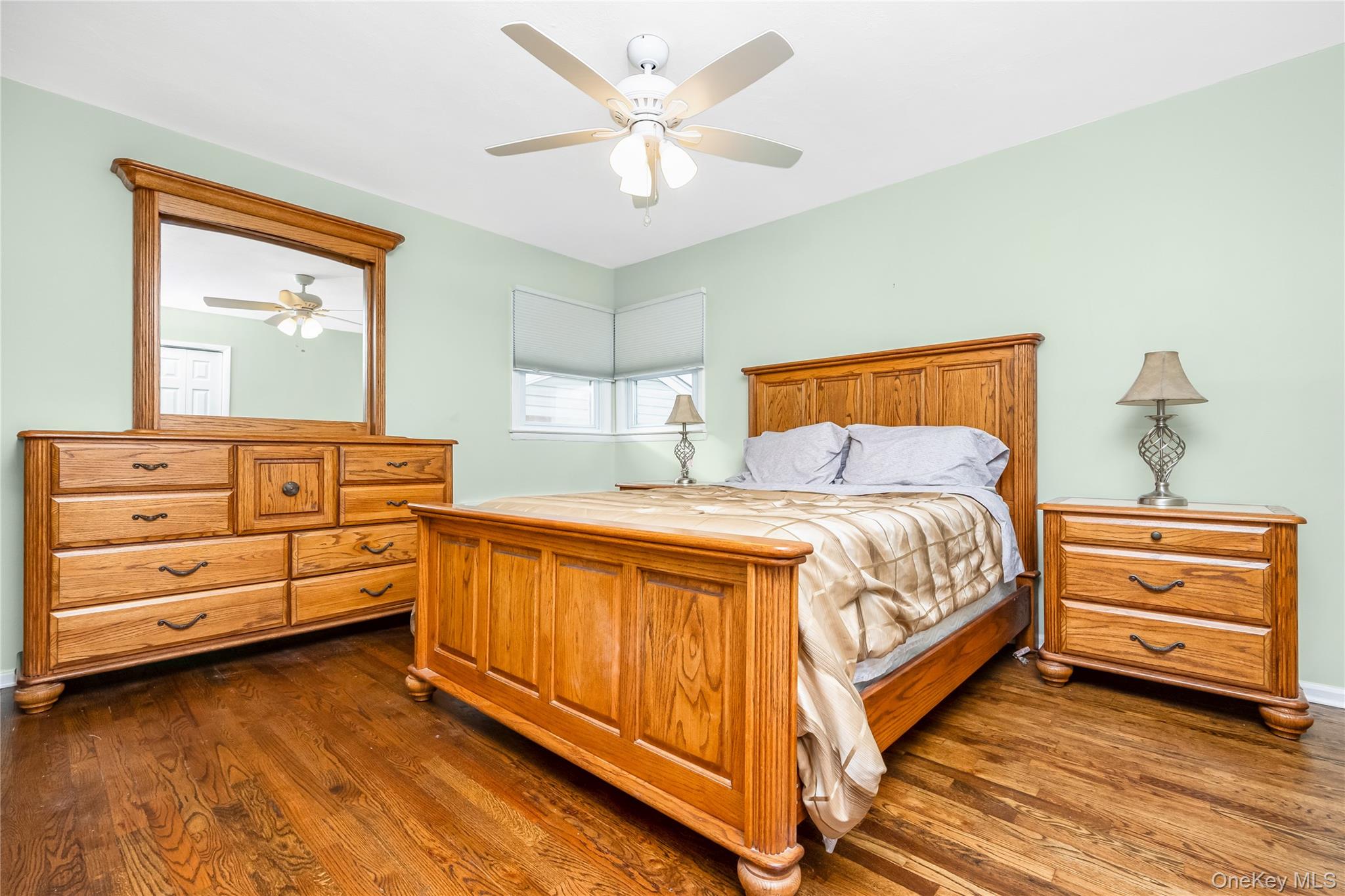 342 Lucille Avenue, Elmont, NY 11003