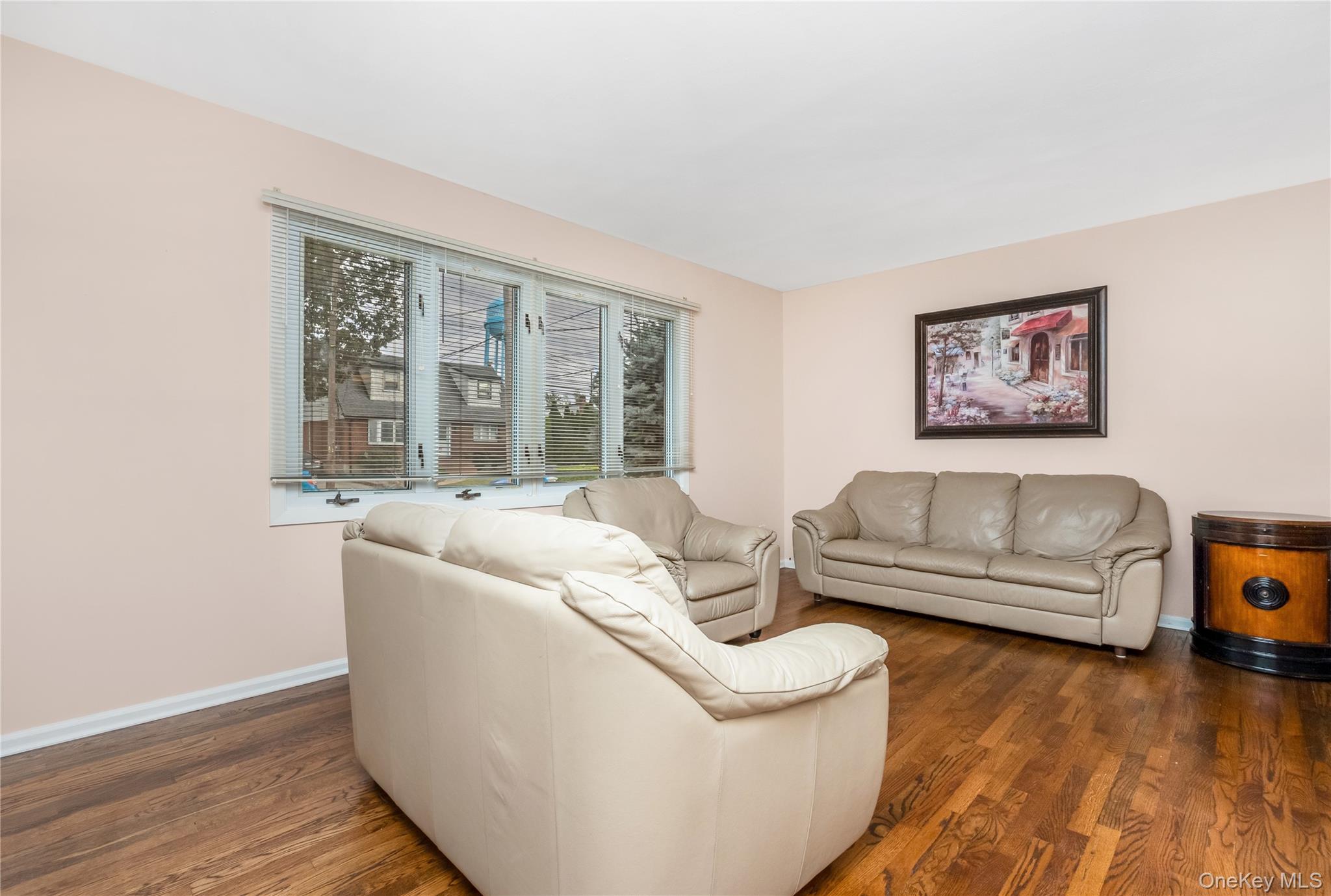 342 Lucille Avenue, Elmont, NY 11003