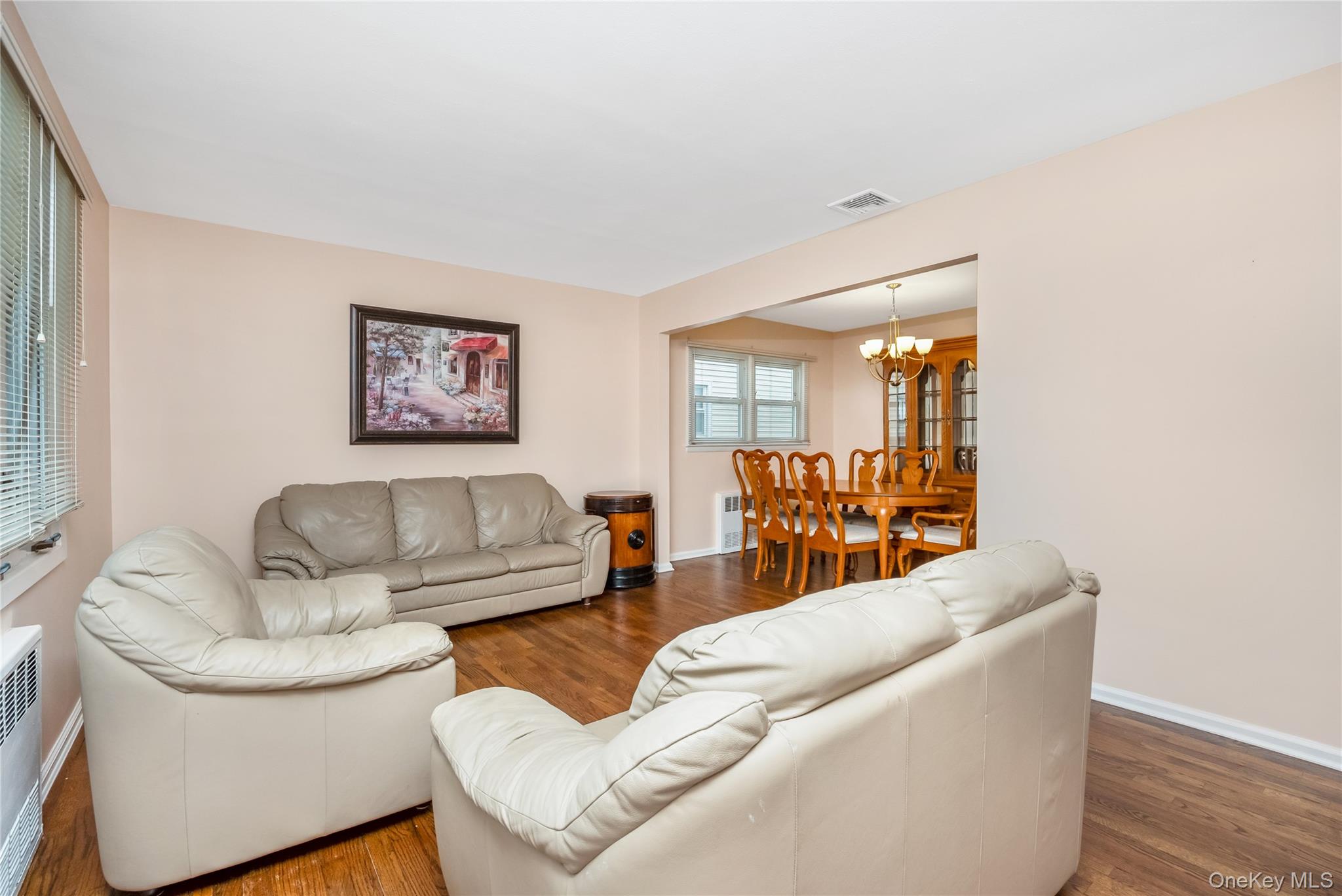 342 Lucille Avenue, Elmont, NY 11003