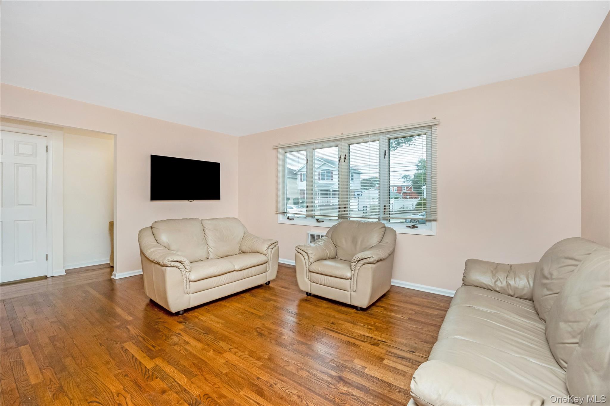 342 Lucille Avenue, Elmont, NY 11003