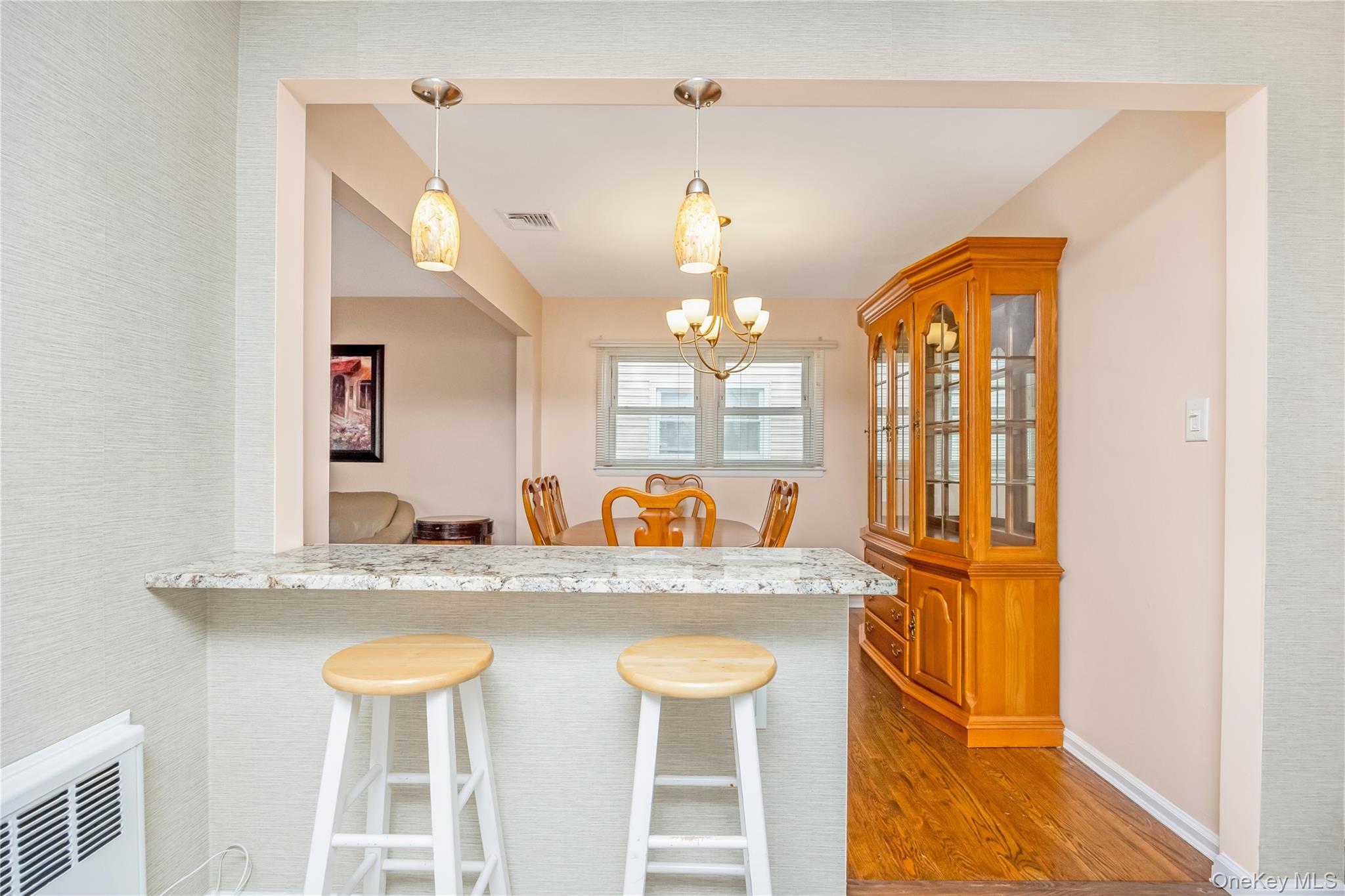 342 Lucille Avenue, Elmont, NY 11003