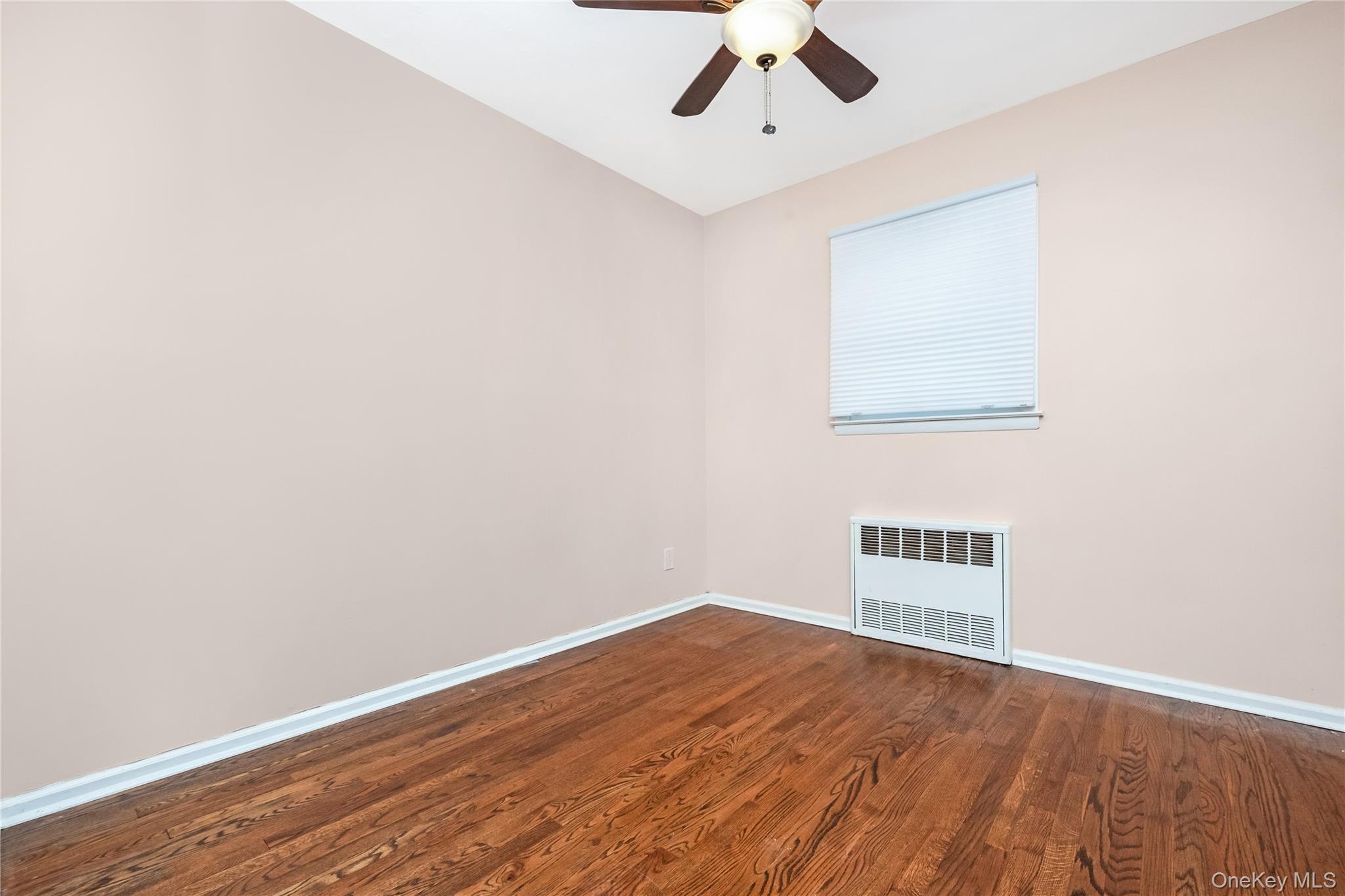 342 Lucille Avenue, Elmont, NY 11003