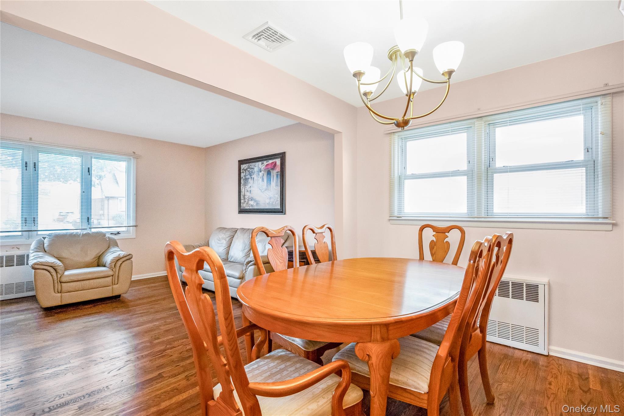 342 Lucille Avenue, Elmont, NY 11003