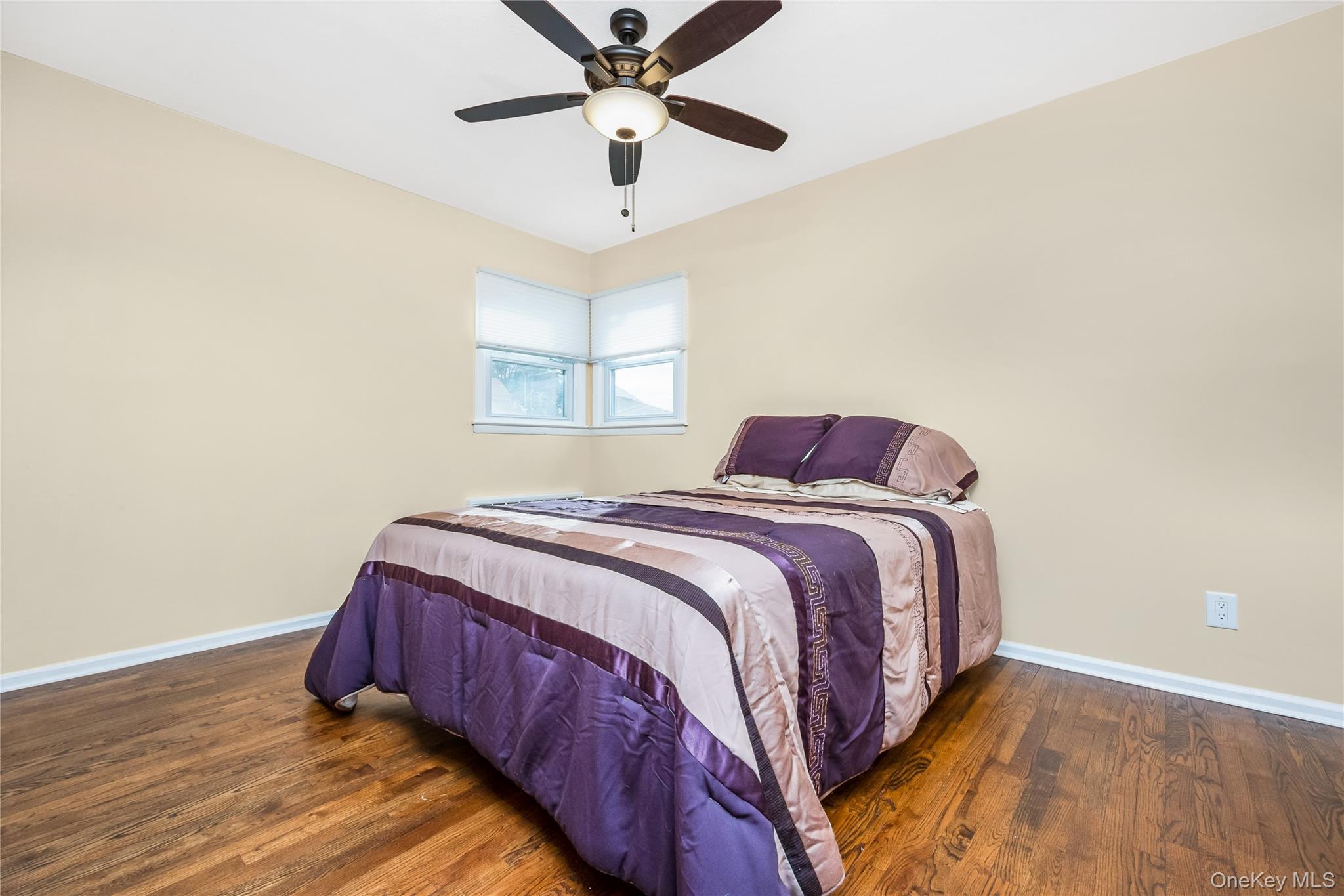 342 Lucille Avenue, Elmont, NY 11003