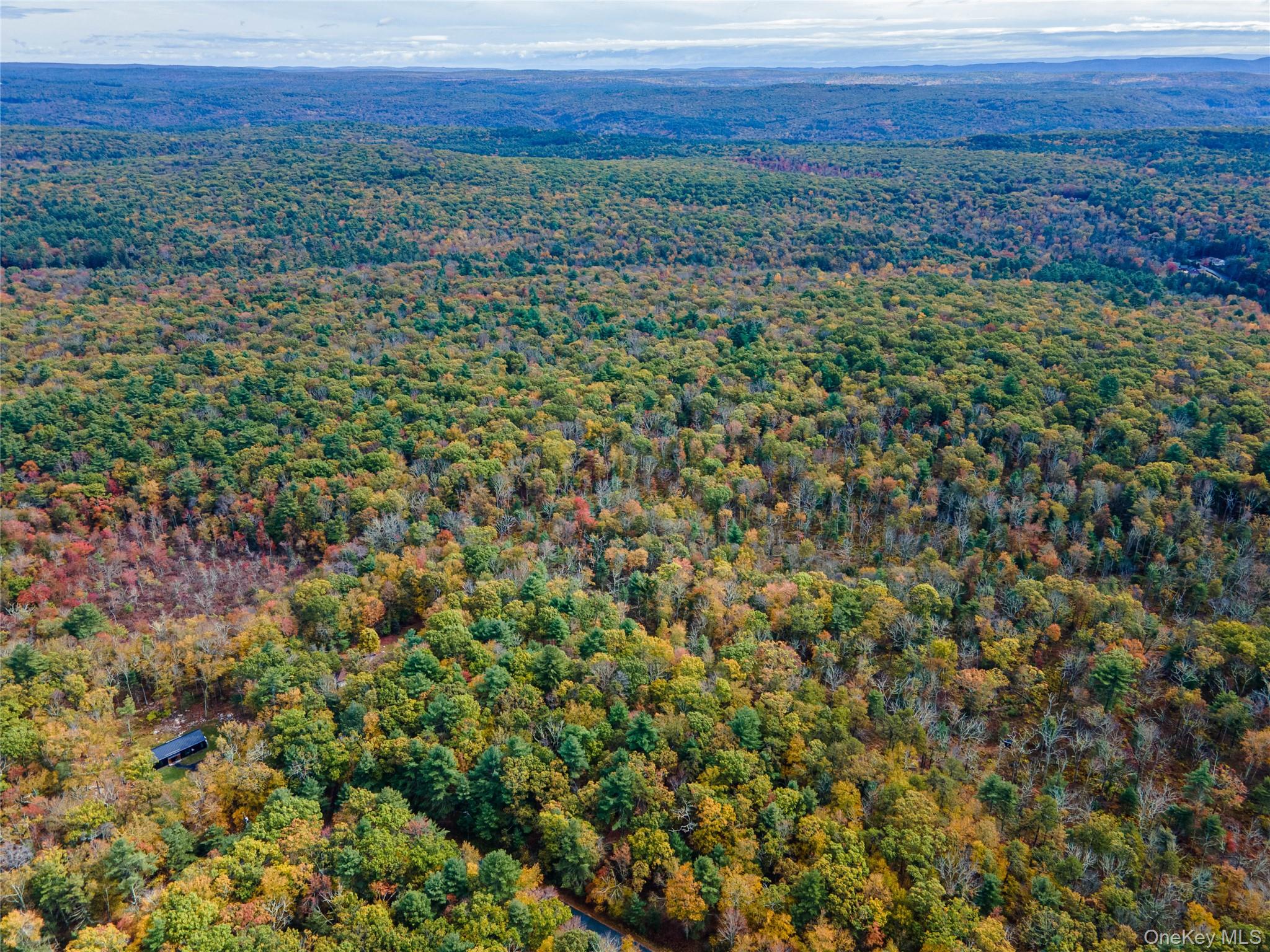 Taras Schevchenko (Lot 23) Road, Glen Spey, NY 12737