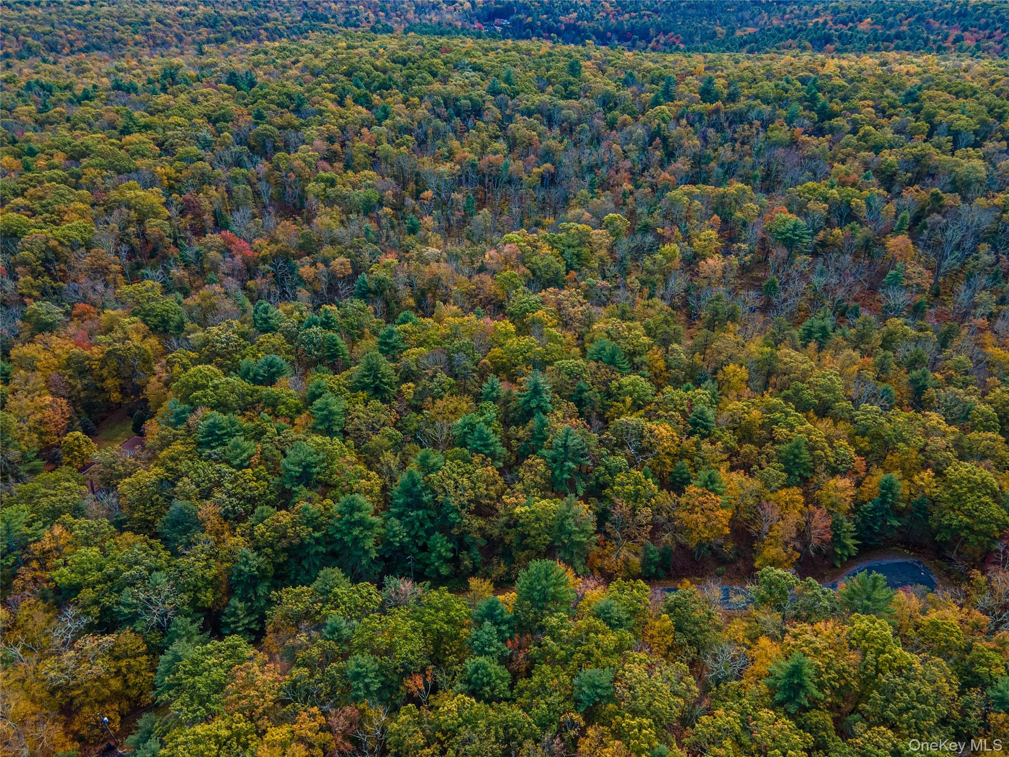 Taras Schevchenko (Lot 23) Road, Glen Spey, NY 12737