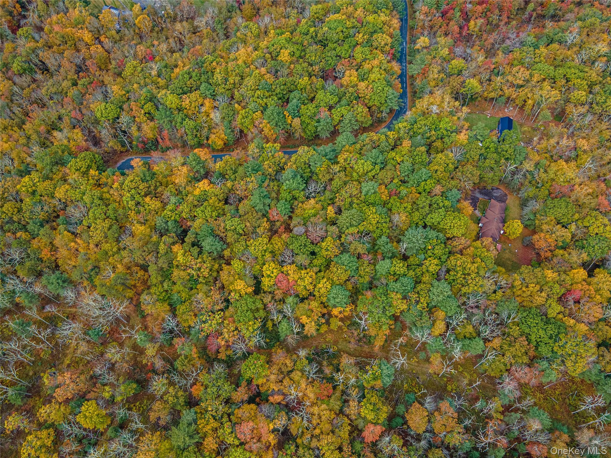 Taras Schevchenko (Lot 23) Road, Glen Spey, NY 12737