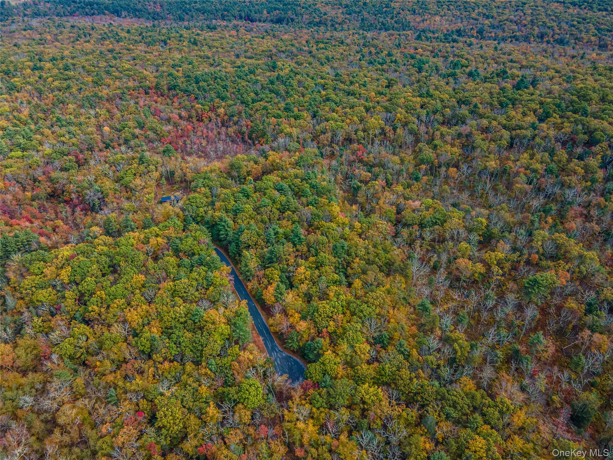 Taras Schevchenko (Lot 23) Road, Glen Spey, NY 12737