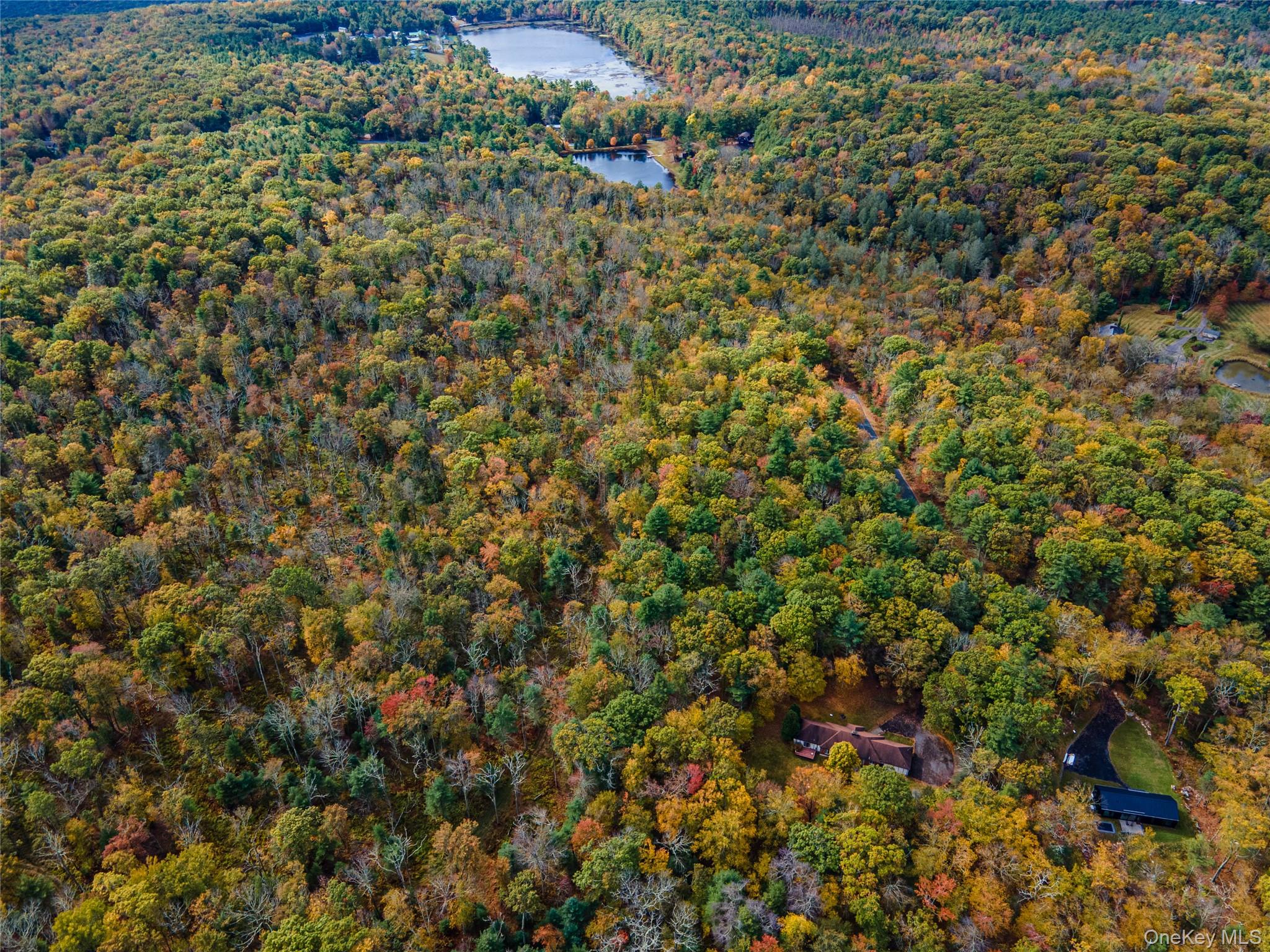 Taras Schevchenko (Lot 23) Road, Glen Spey, NY 12737