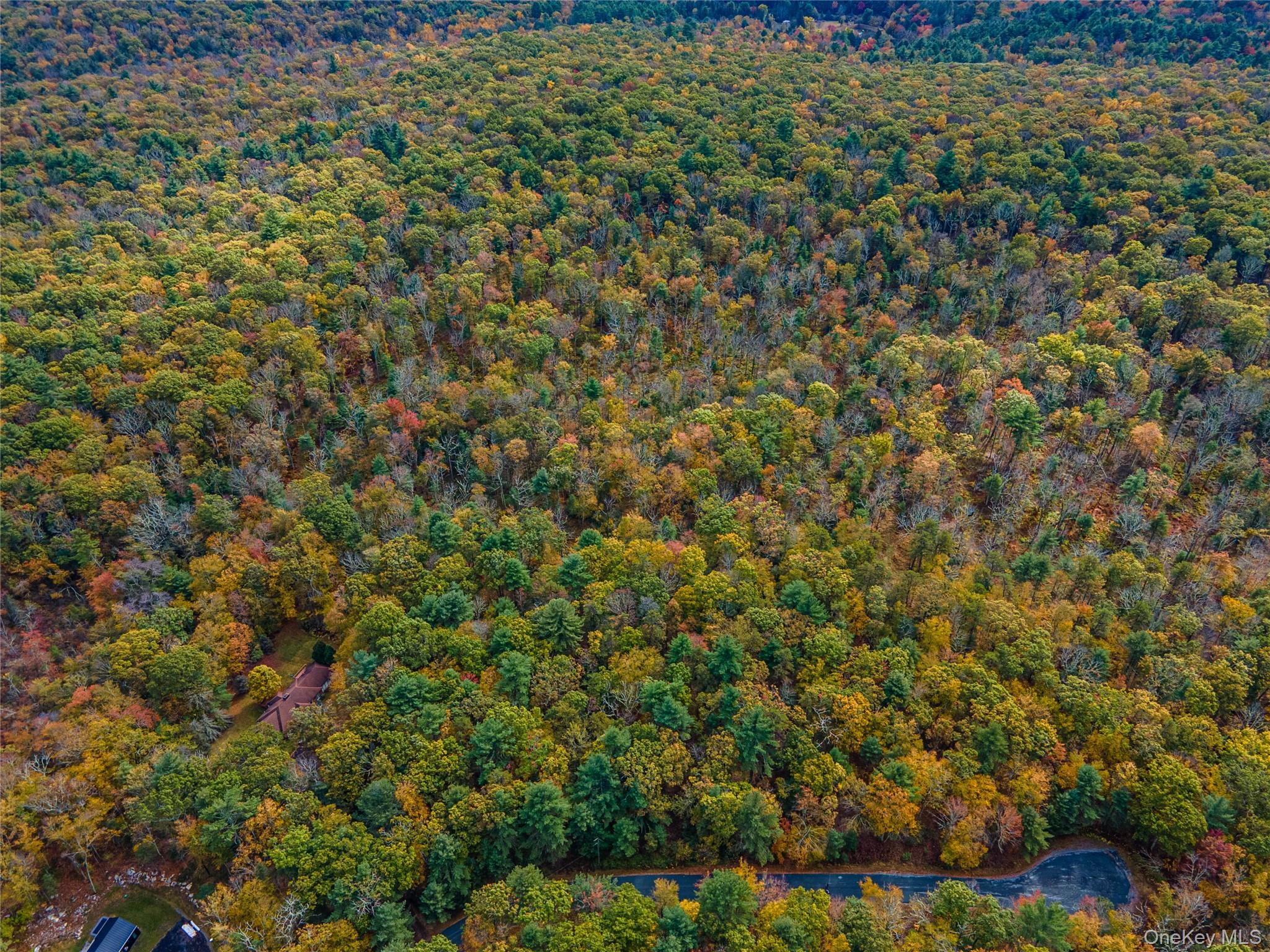 Taras Schevchenko (Lot 23) Road, Glen Spey, NY 12737