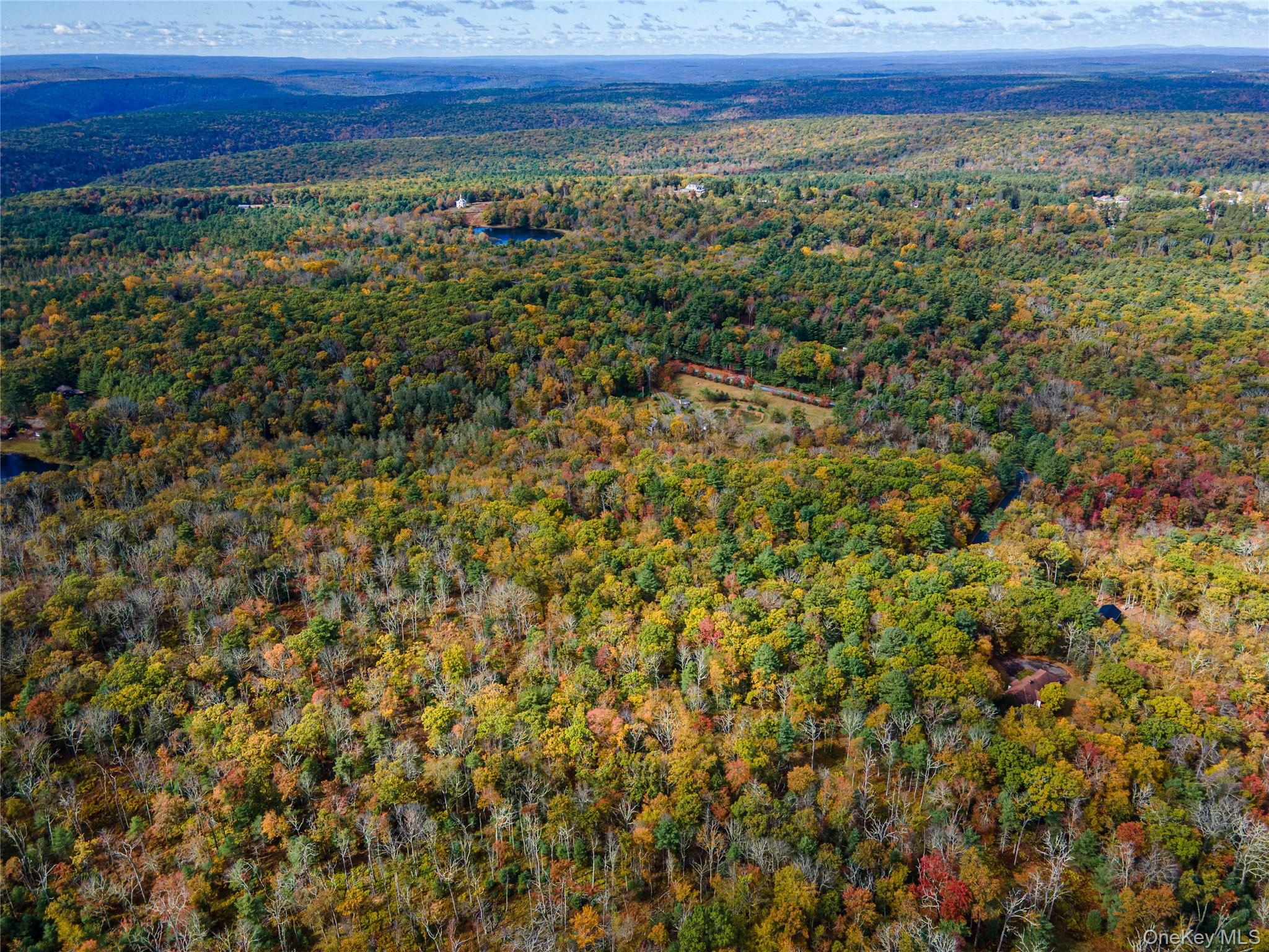 Taras Schevchenko (Lot 23) Road, Glen Spey, NY 12737