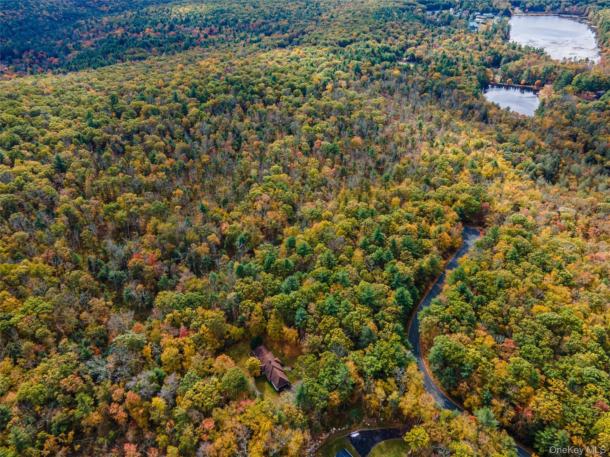 Taras Schevchenko (Lot 23) Road, Glen Spey, NY 12737